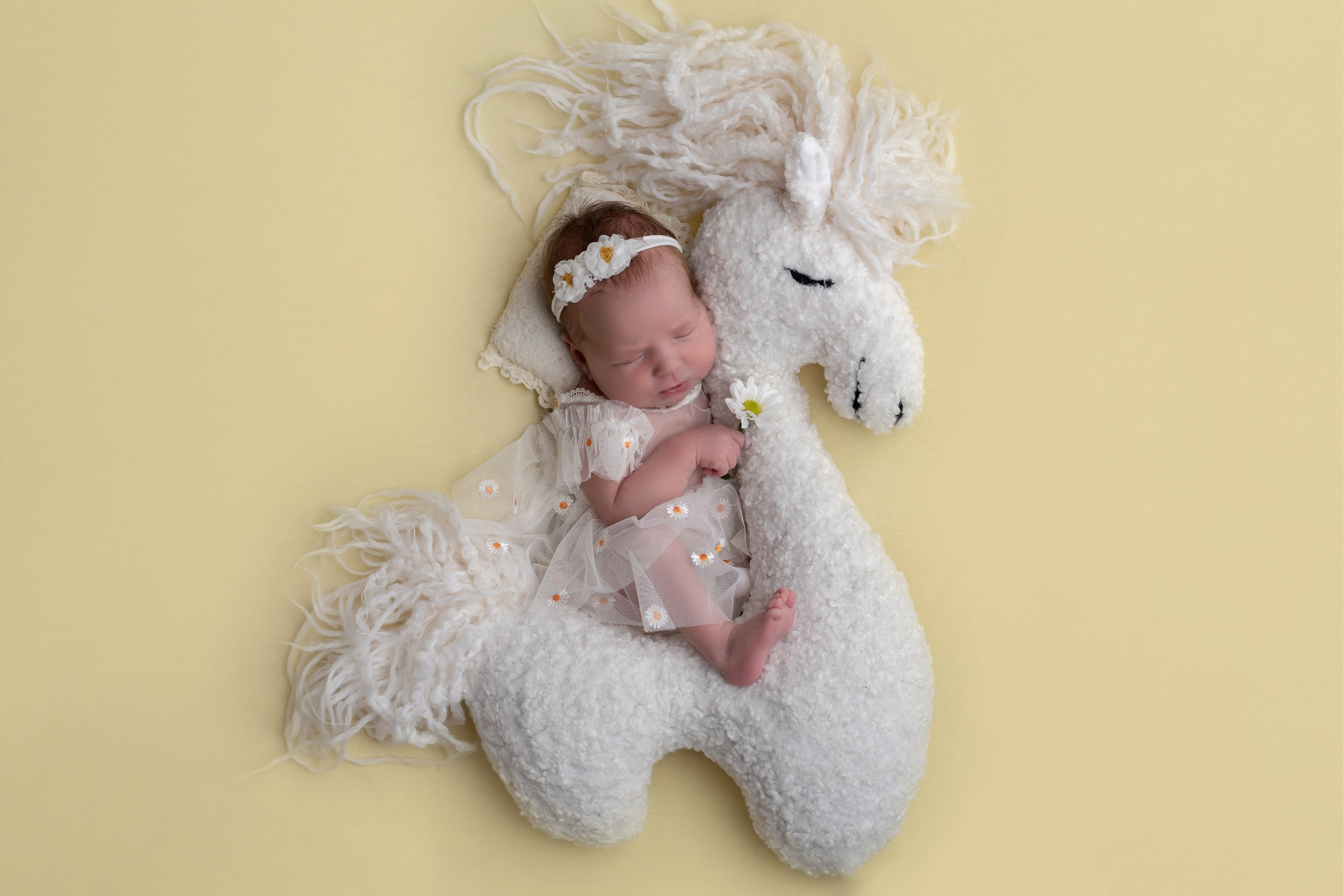 Реквизит. Фотограф новорожденных в Екатеринбурге Анастасия Карманова