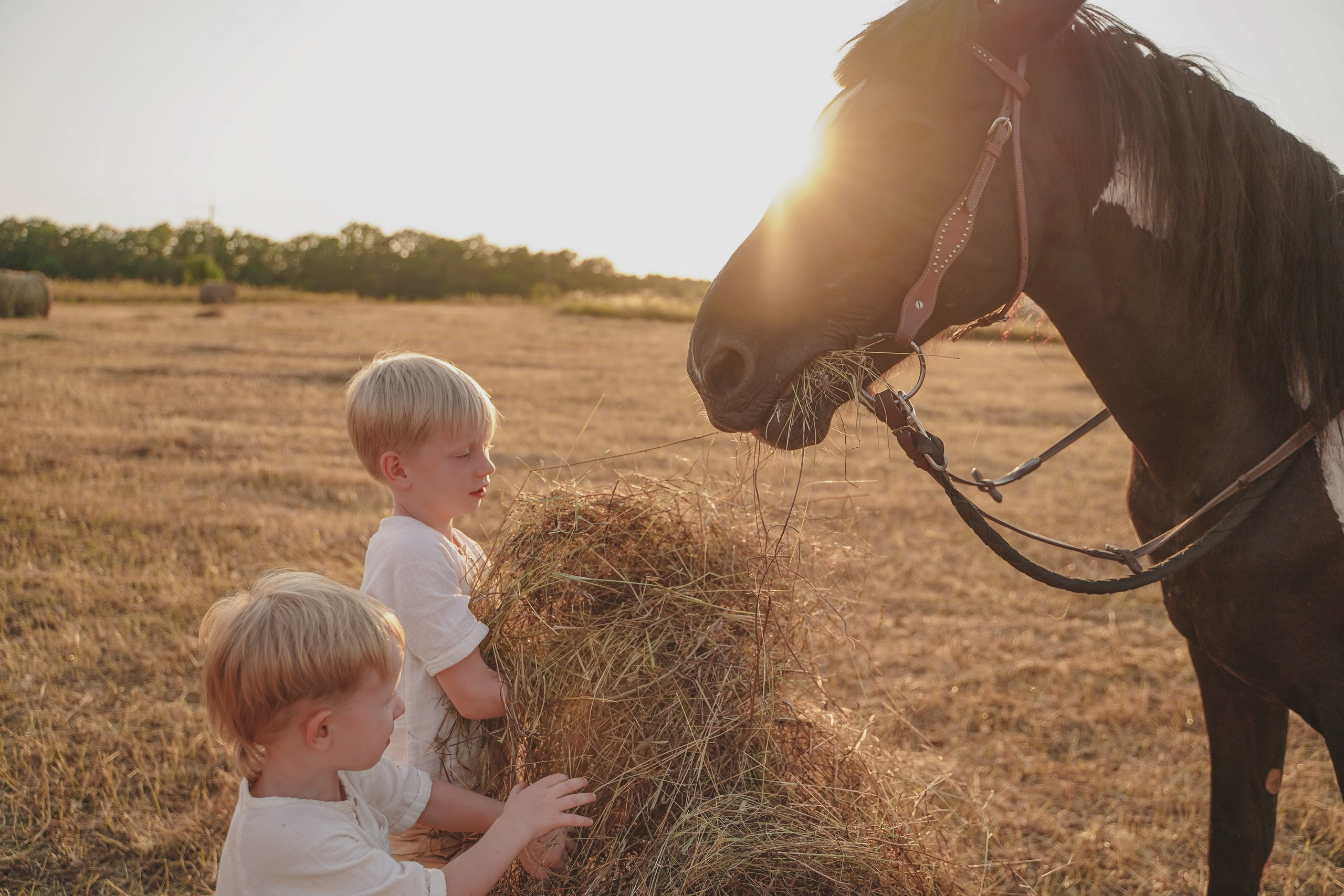 Выездная фотосессия. Семейный и женский фотограф в Краснодаре Анастасия Приймак