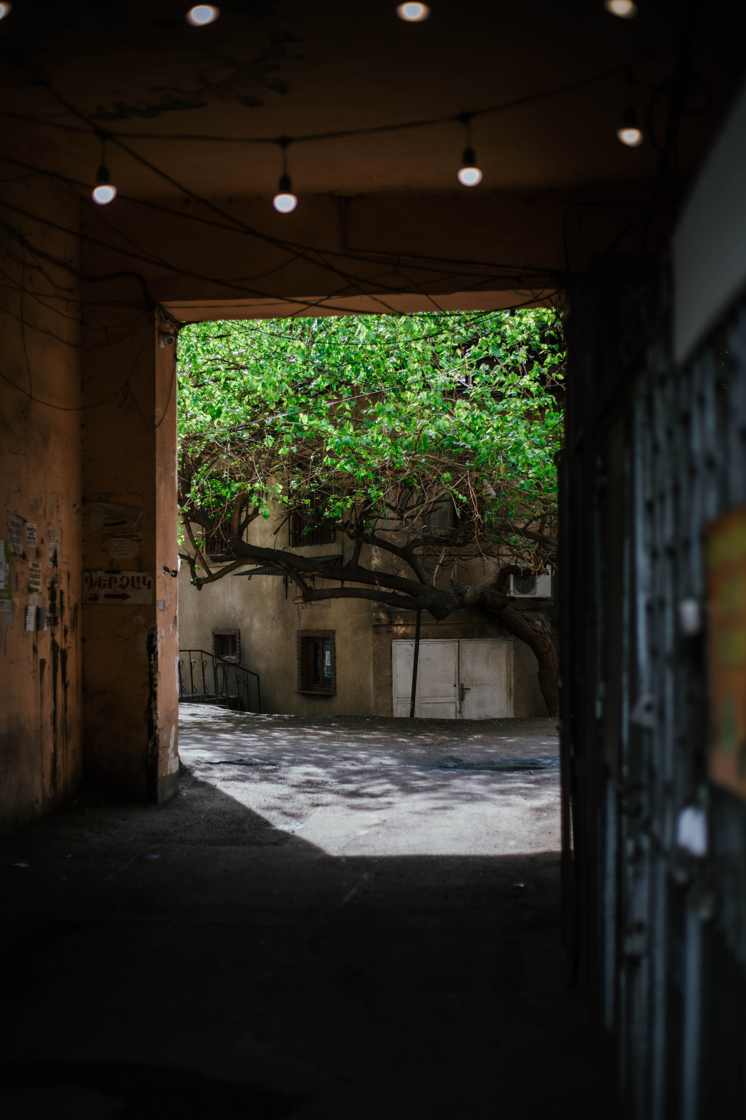 Armenia. Photographer Alina Skitovich