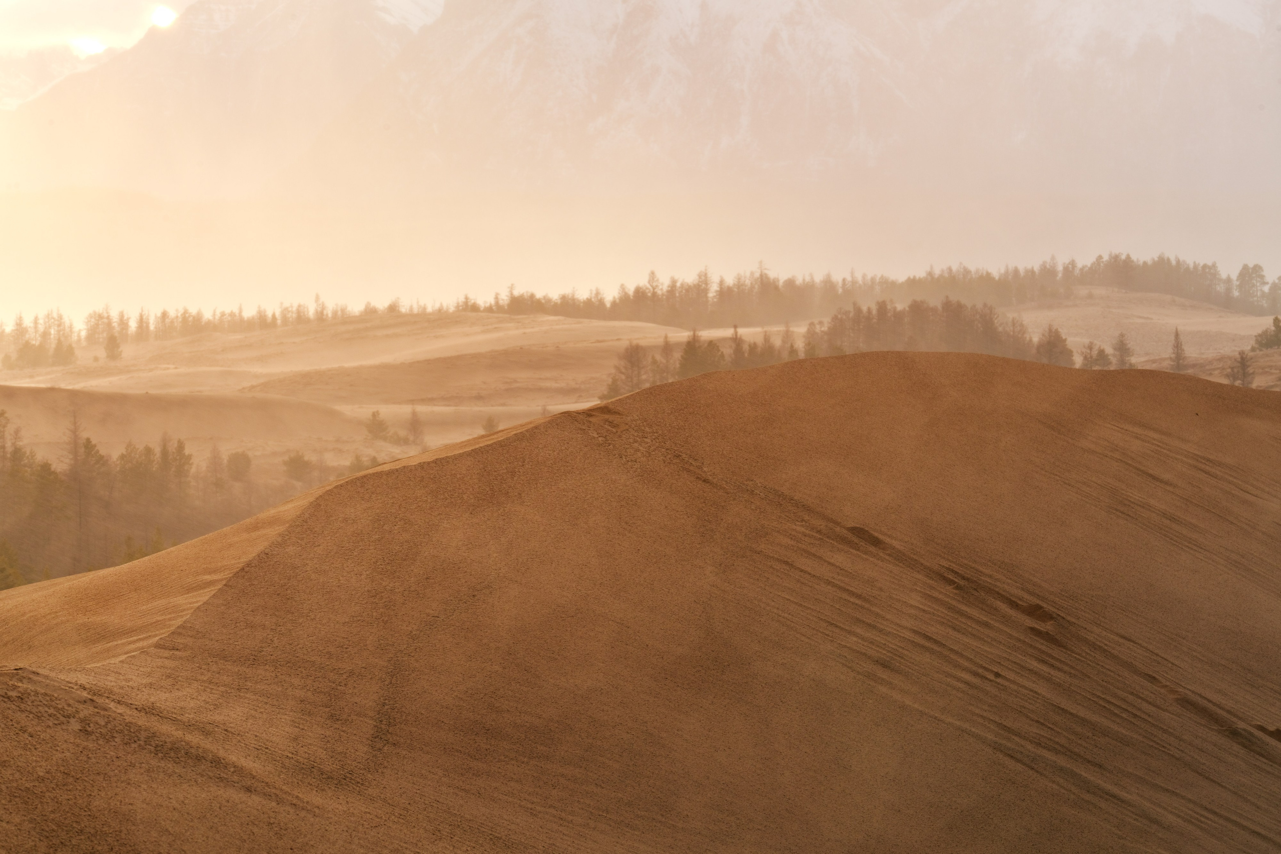 Очарование Чары