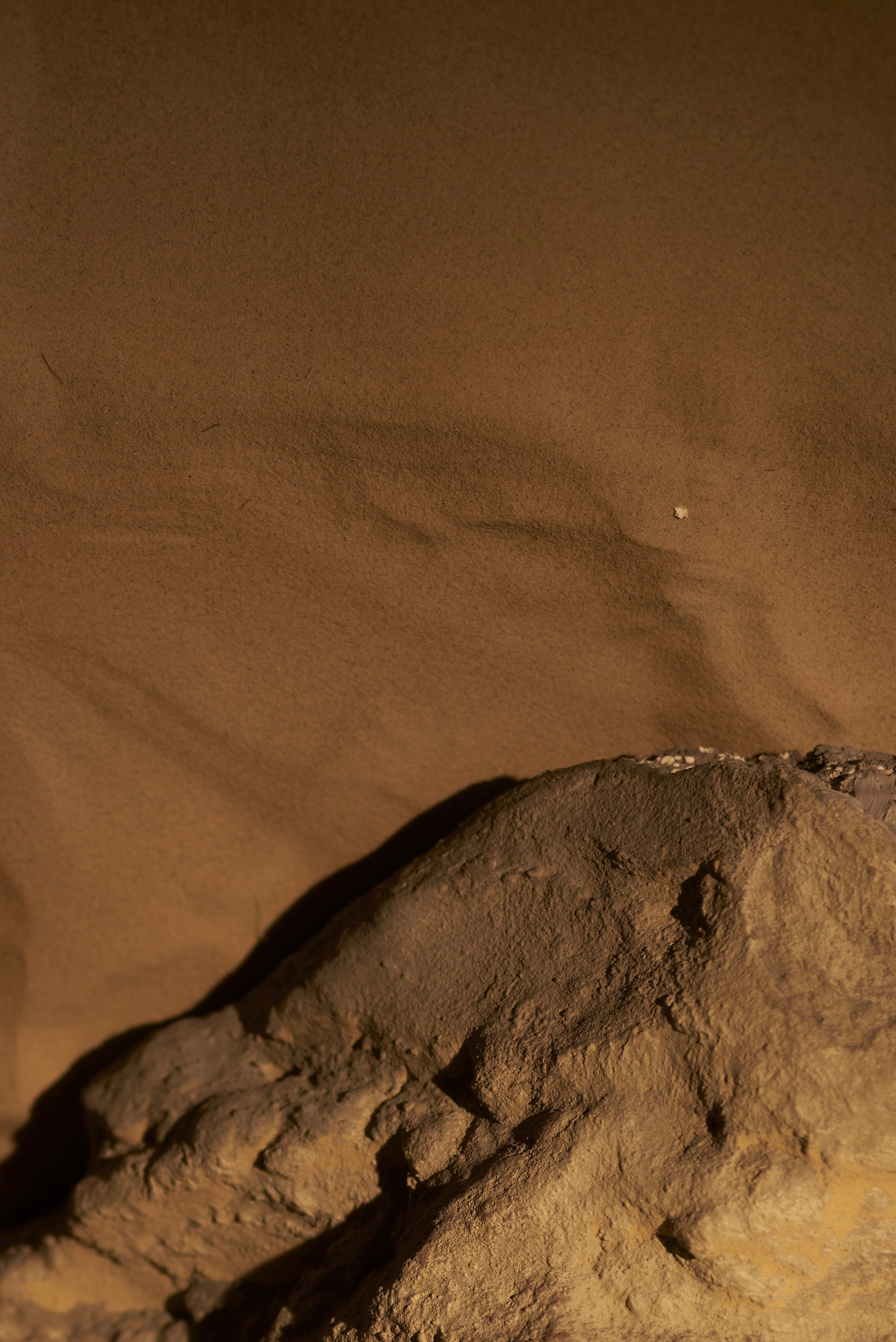 POGO on DUNE. Свадебный фотограф Юлия Гусева