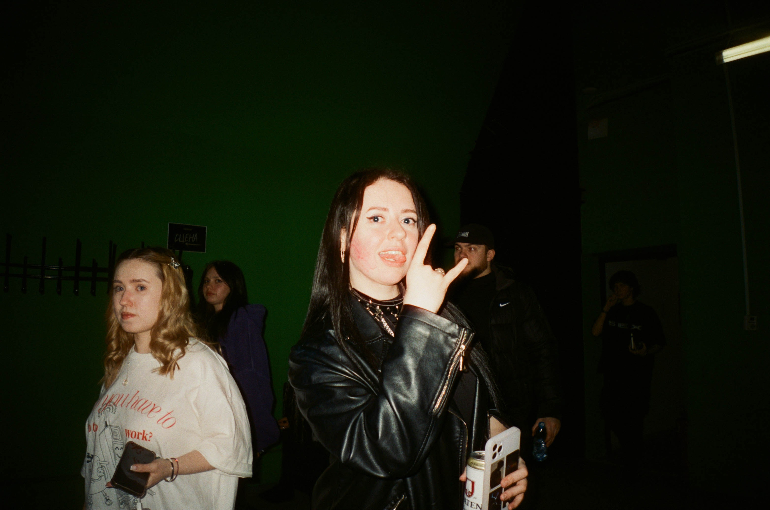 Концертные съемки. Фотограф Диана Иремадзе