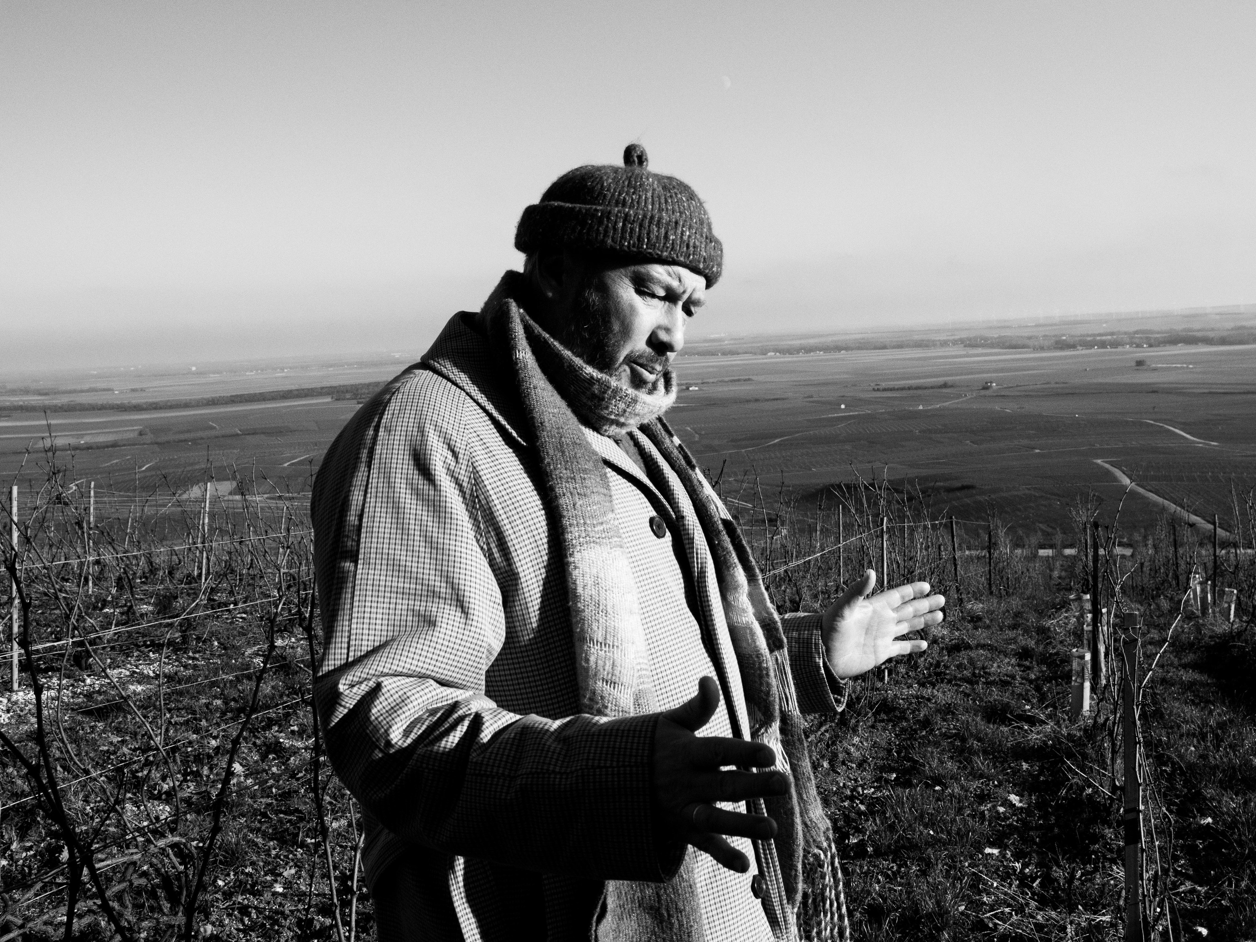 Champagne 2025. Фотограф в Крыму Алевтина Швец