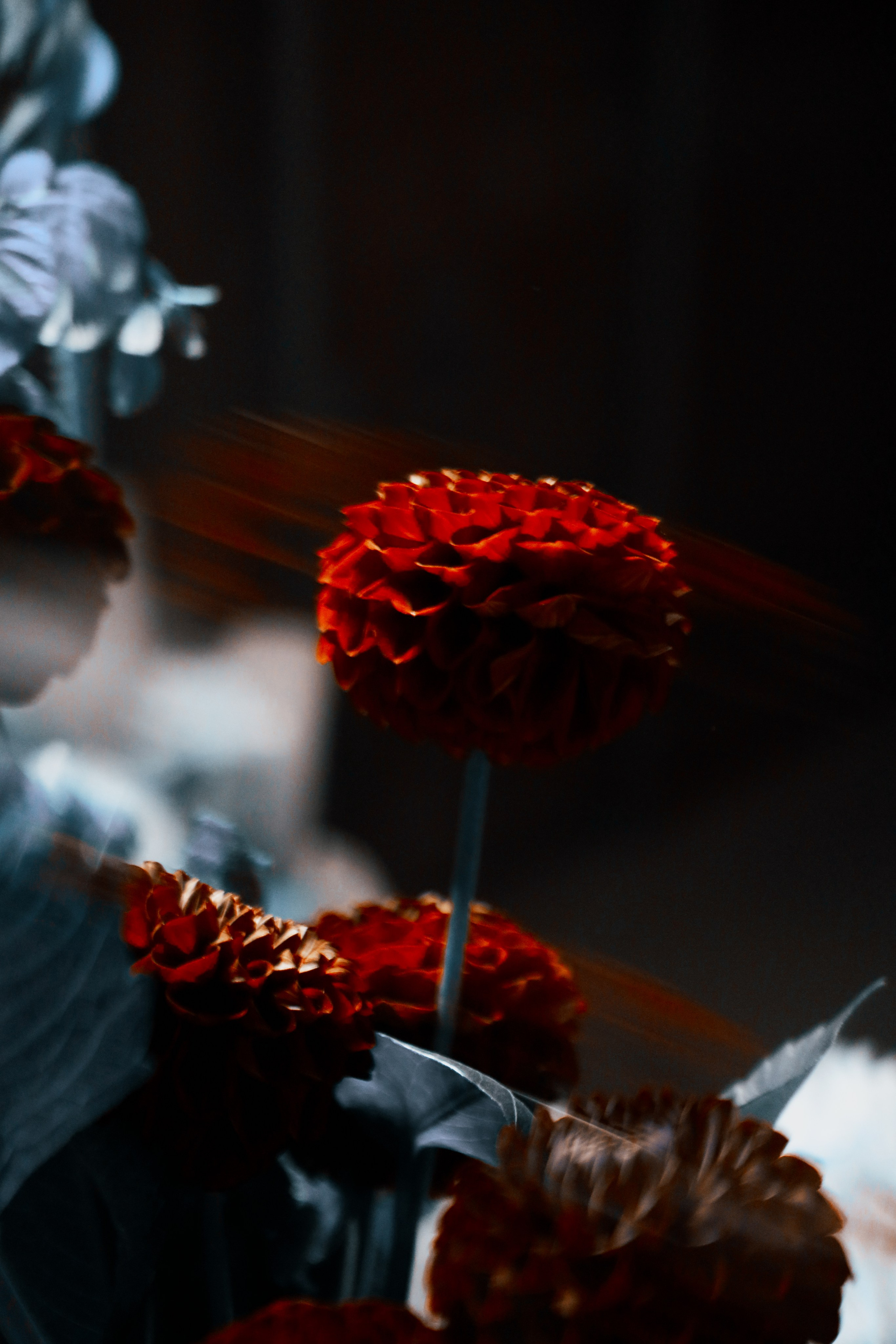 AUXI Ardor 2024. Fashion Фотограф в СПб Yana Kochkina