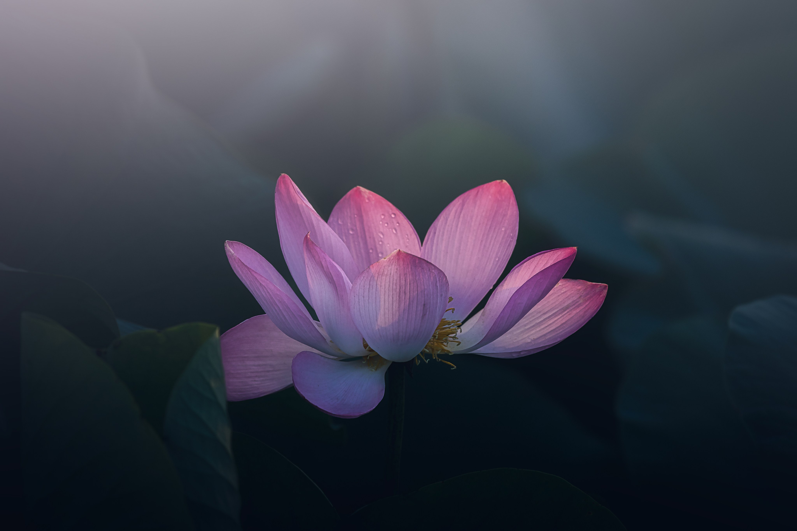 Астраханская область 2025 | Фотограф Дмитрий Купрацевич. Дмитрий Купрацевич профессиональный пейзажный и travel-фотограф