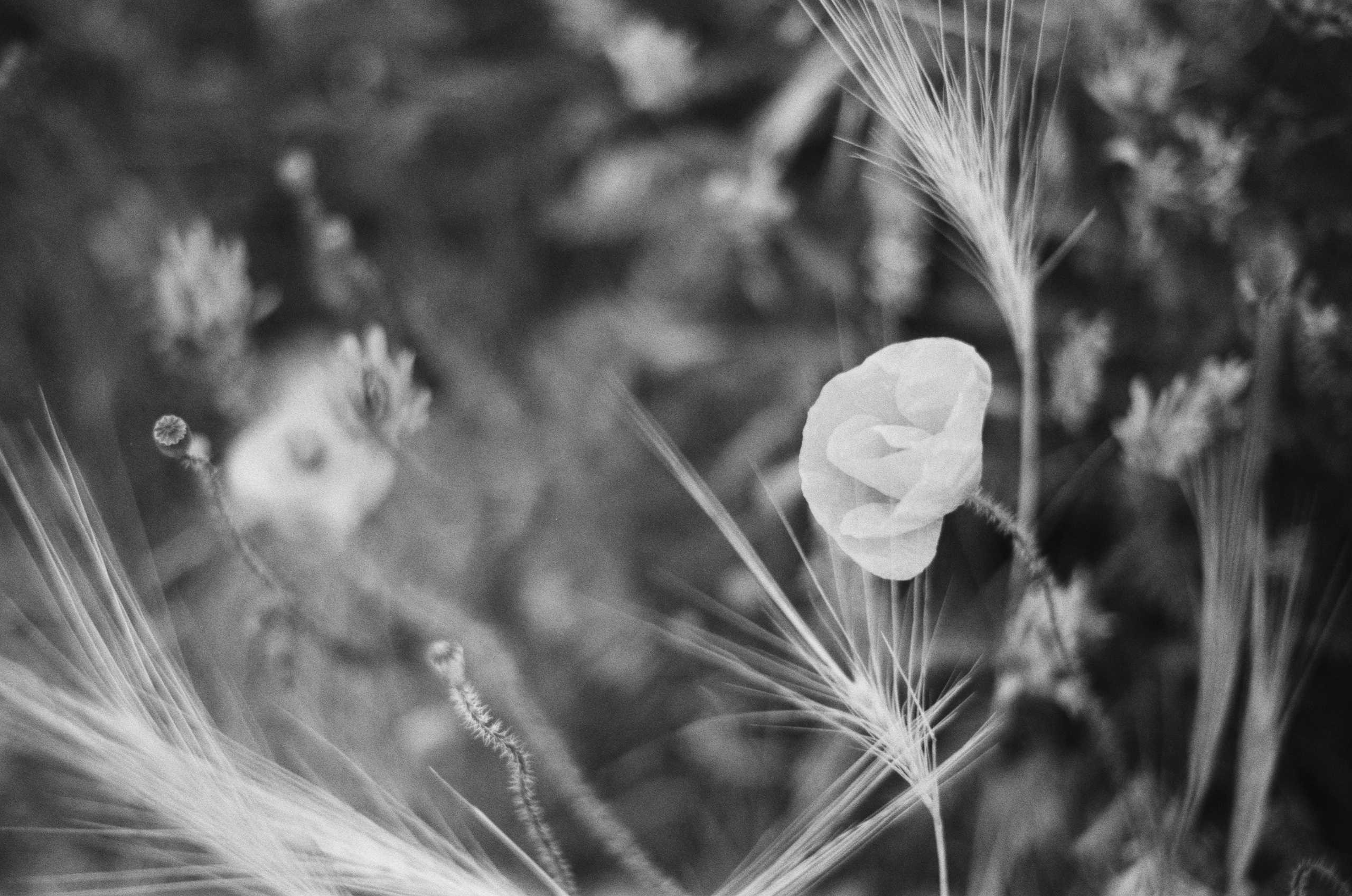 Move me // ukraine, crimea II. EVER EXPOSED