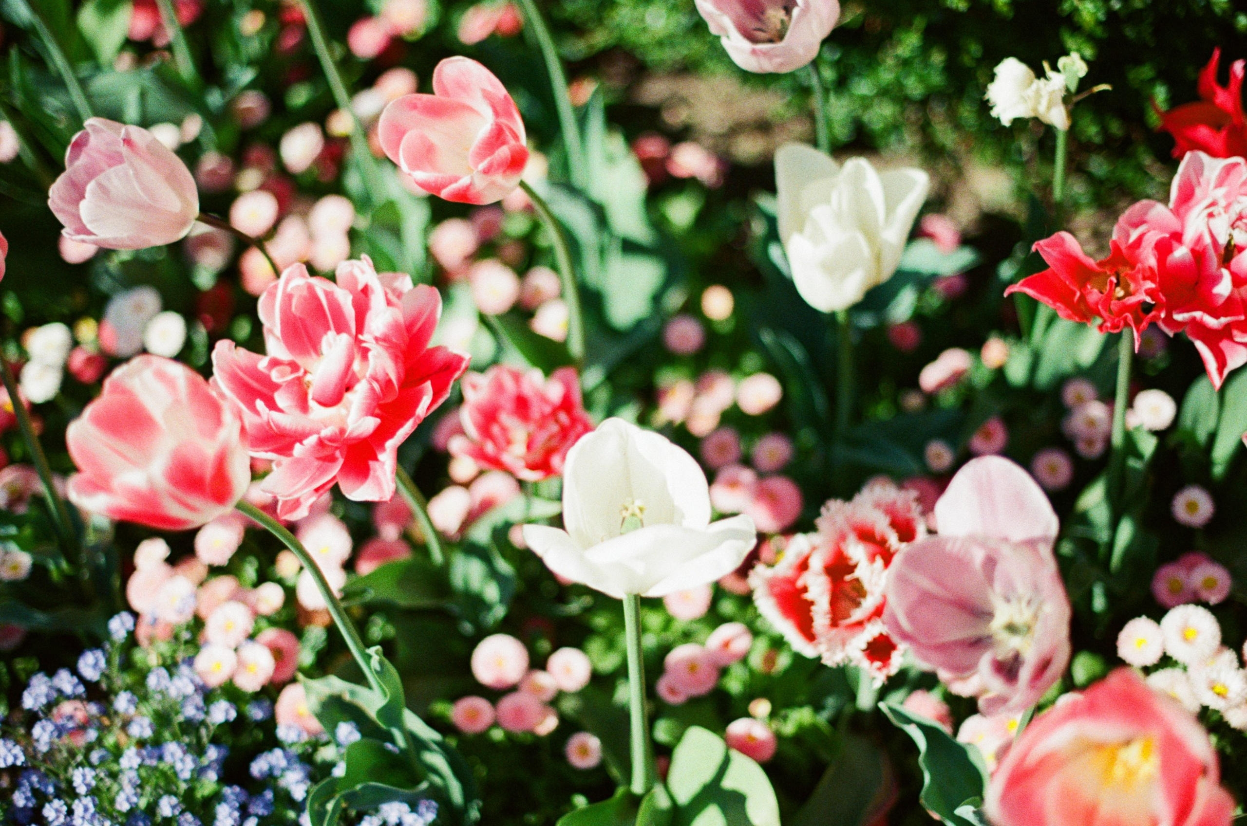 Follow you // ukraine, crimea V. EVER EXPOSED