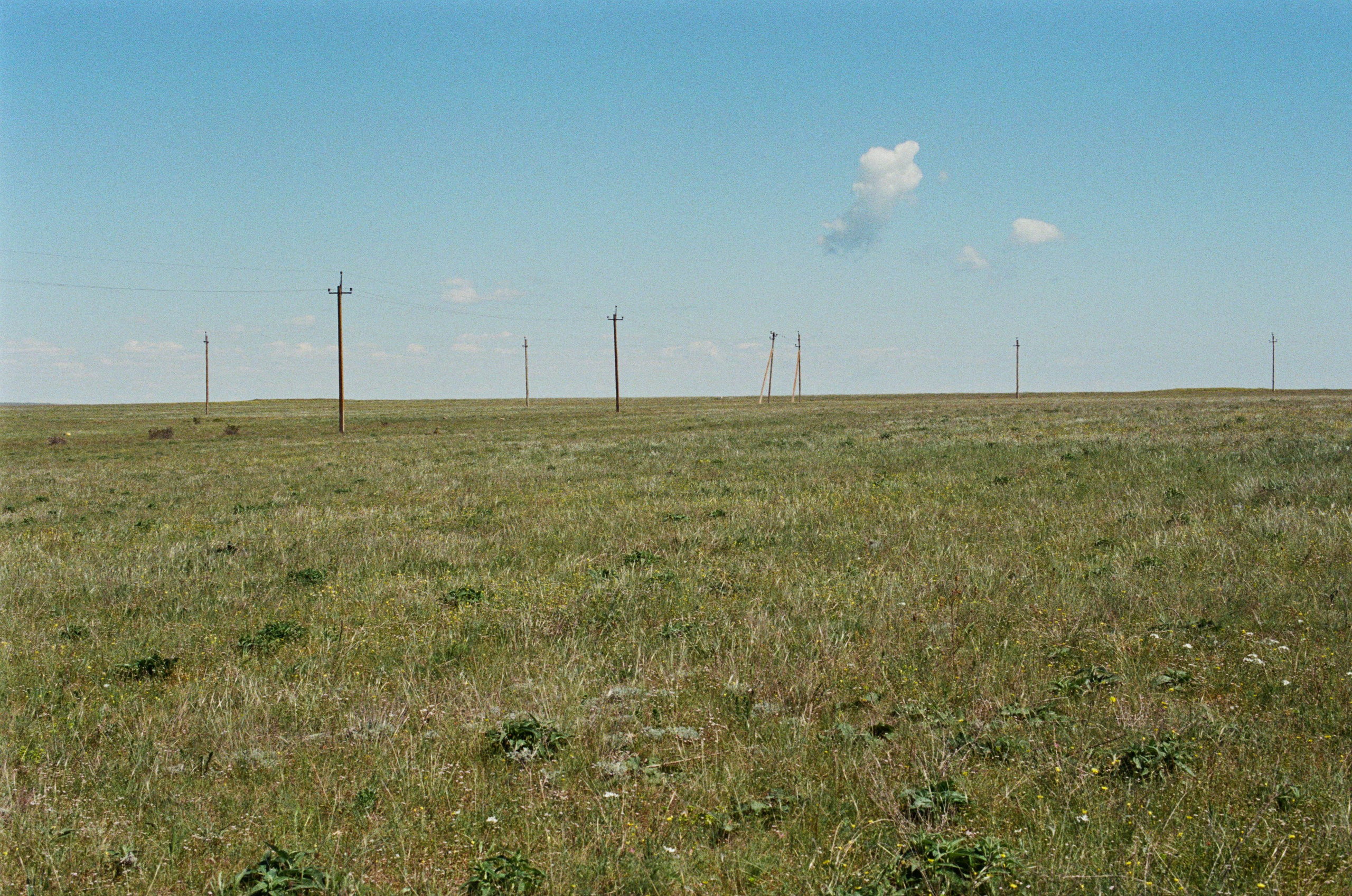 Some kind of madness // ukraine, crimea V. EVER EXPOSED