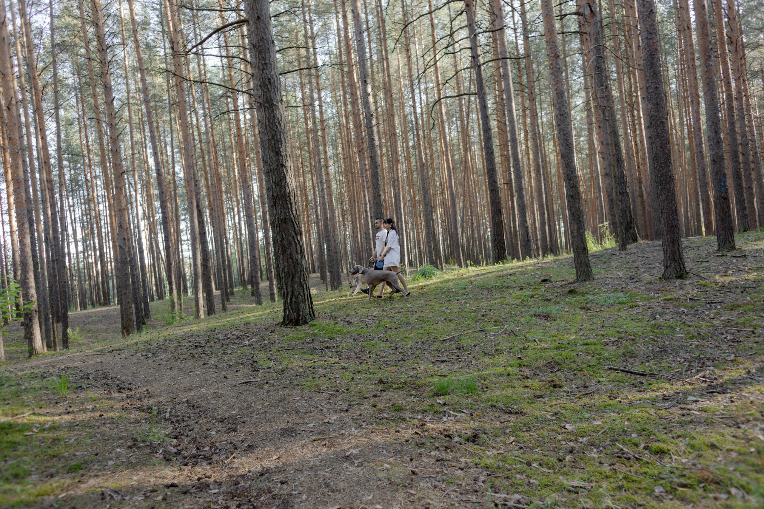 Ника и Элвин. Свадебный и семейный фотограф в Перми Дергачева Кристина