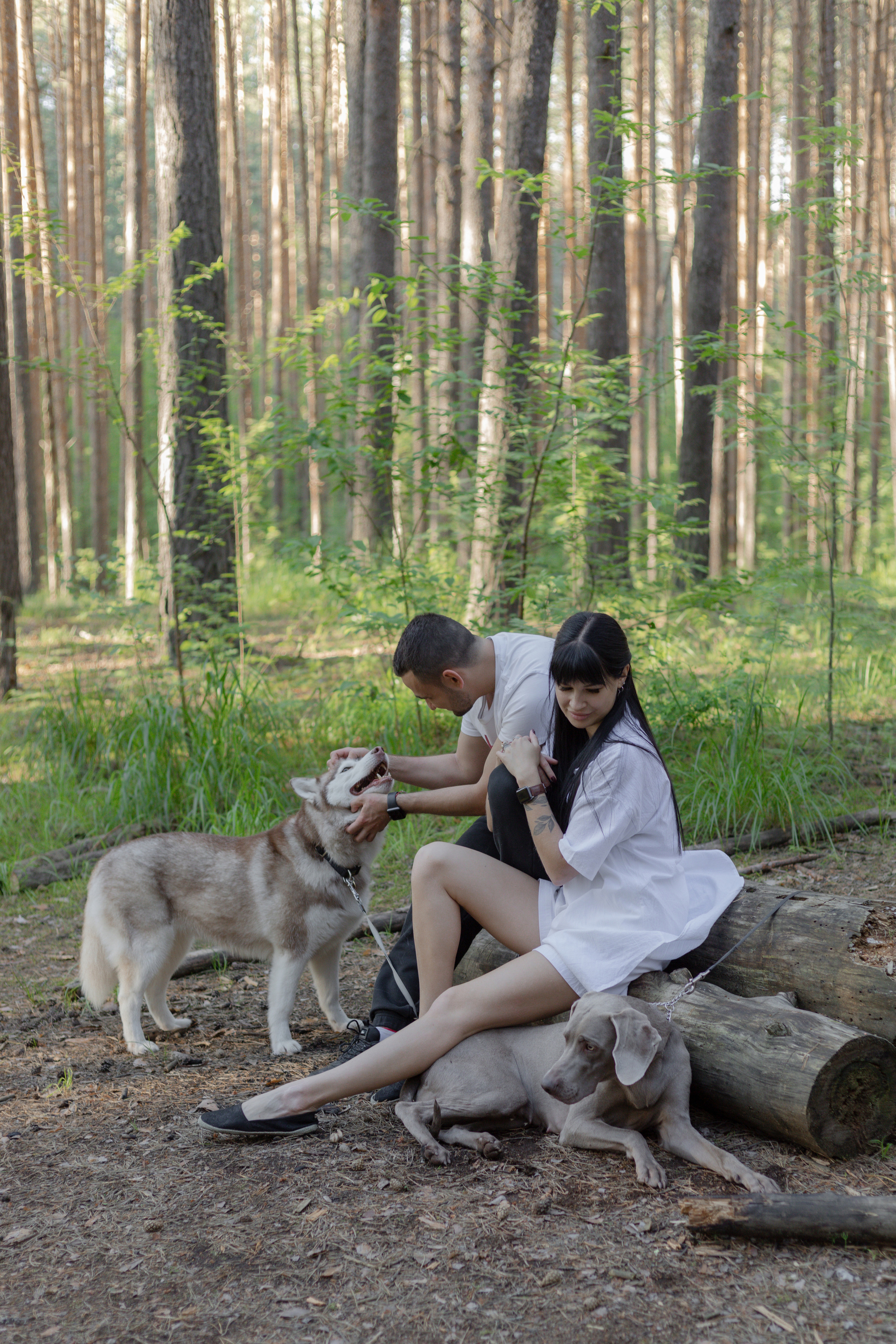 Ника и Элвин. Свадебный и семейный фотограф в Перми Дергачева Кристина