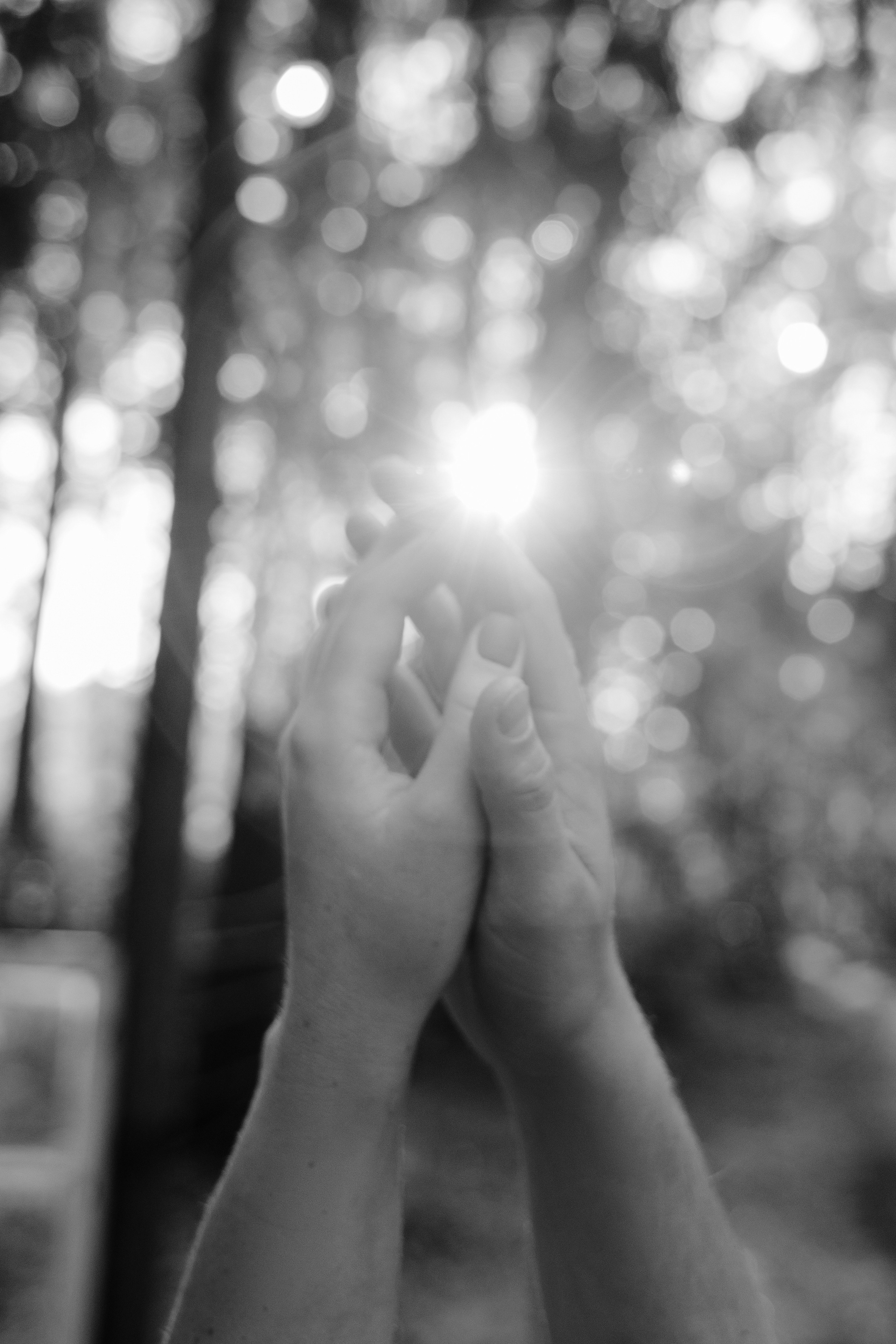 Лесная романтика. Свадебный и семейный фотограф в Перми Дергачева Кристина