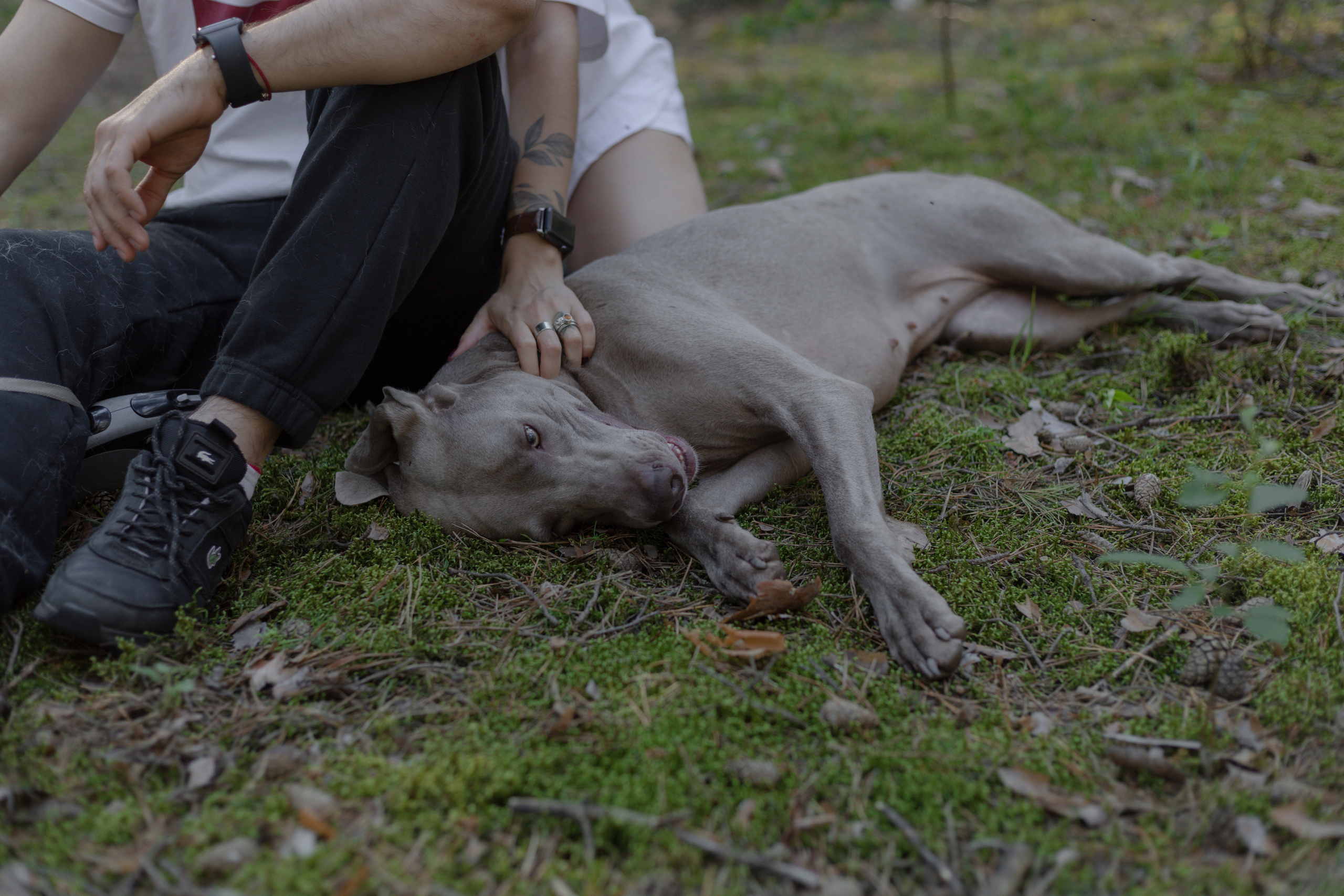 Ника и Элвин. Свадебный и семейный фотограф в Перми Дергачева Кристина