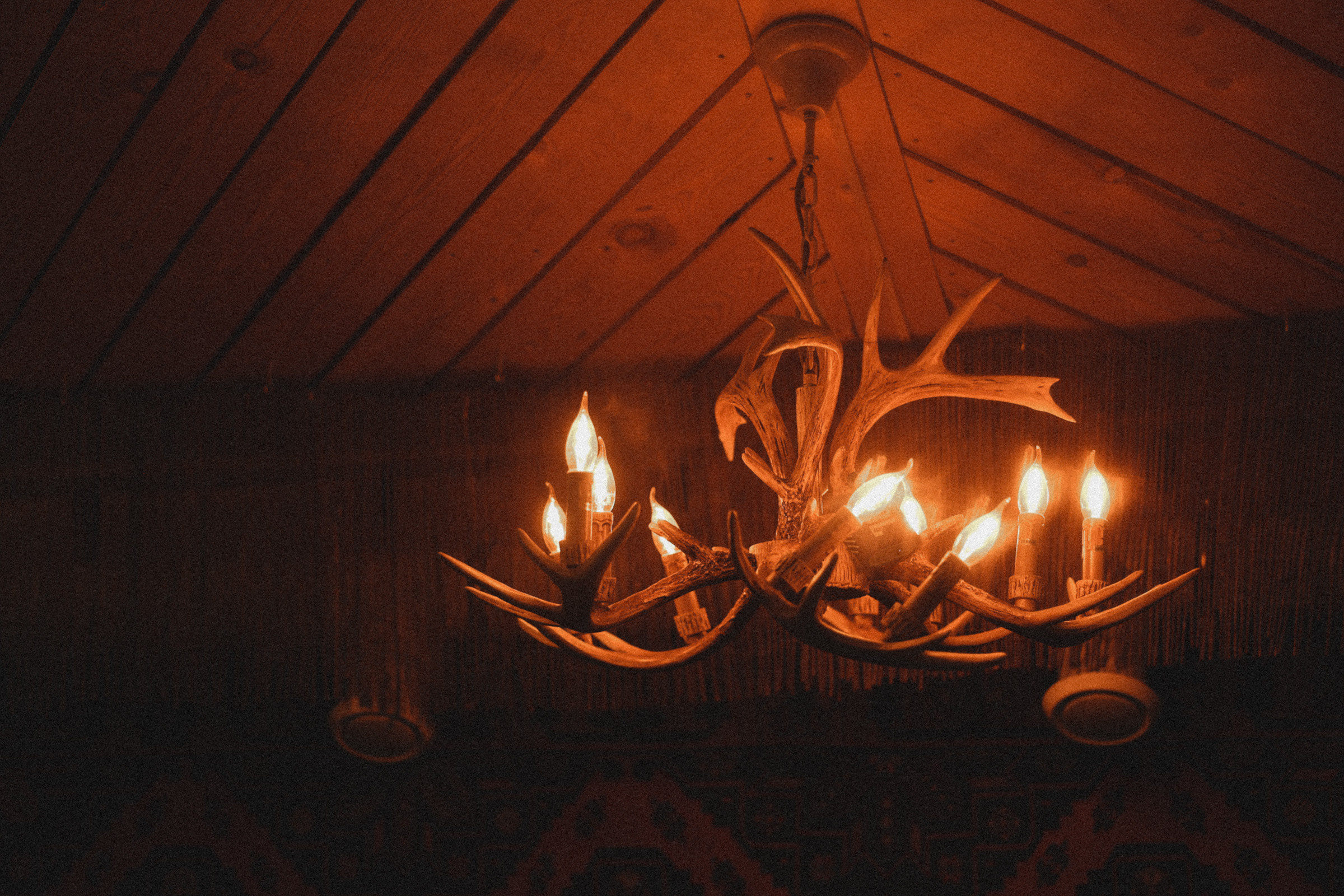 Ferra torr. Свадебный фотограф в Ярославле Илья Жуков