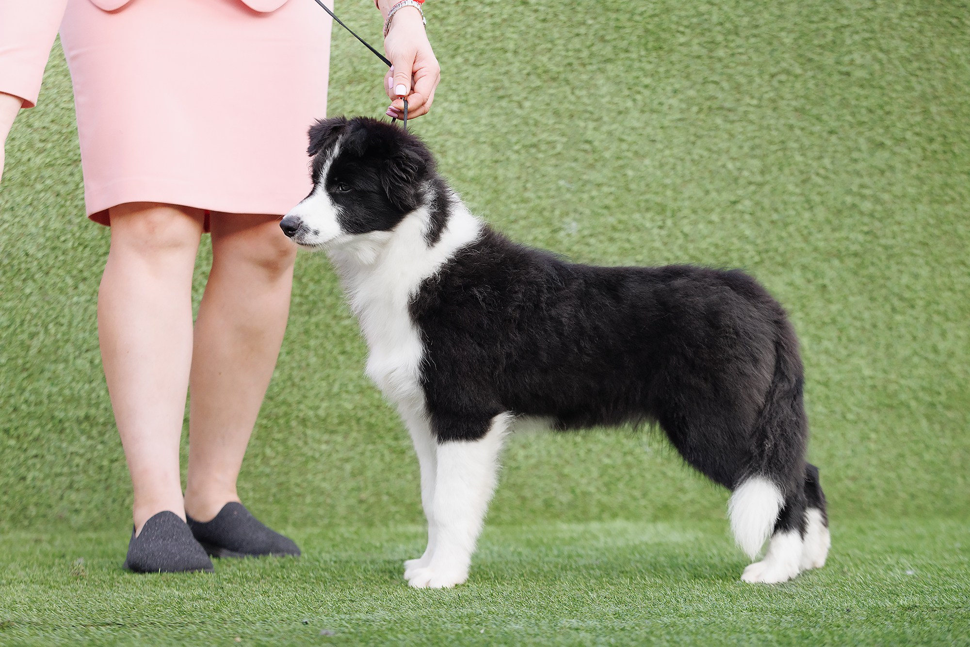 Трава у дома. О нас