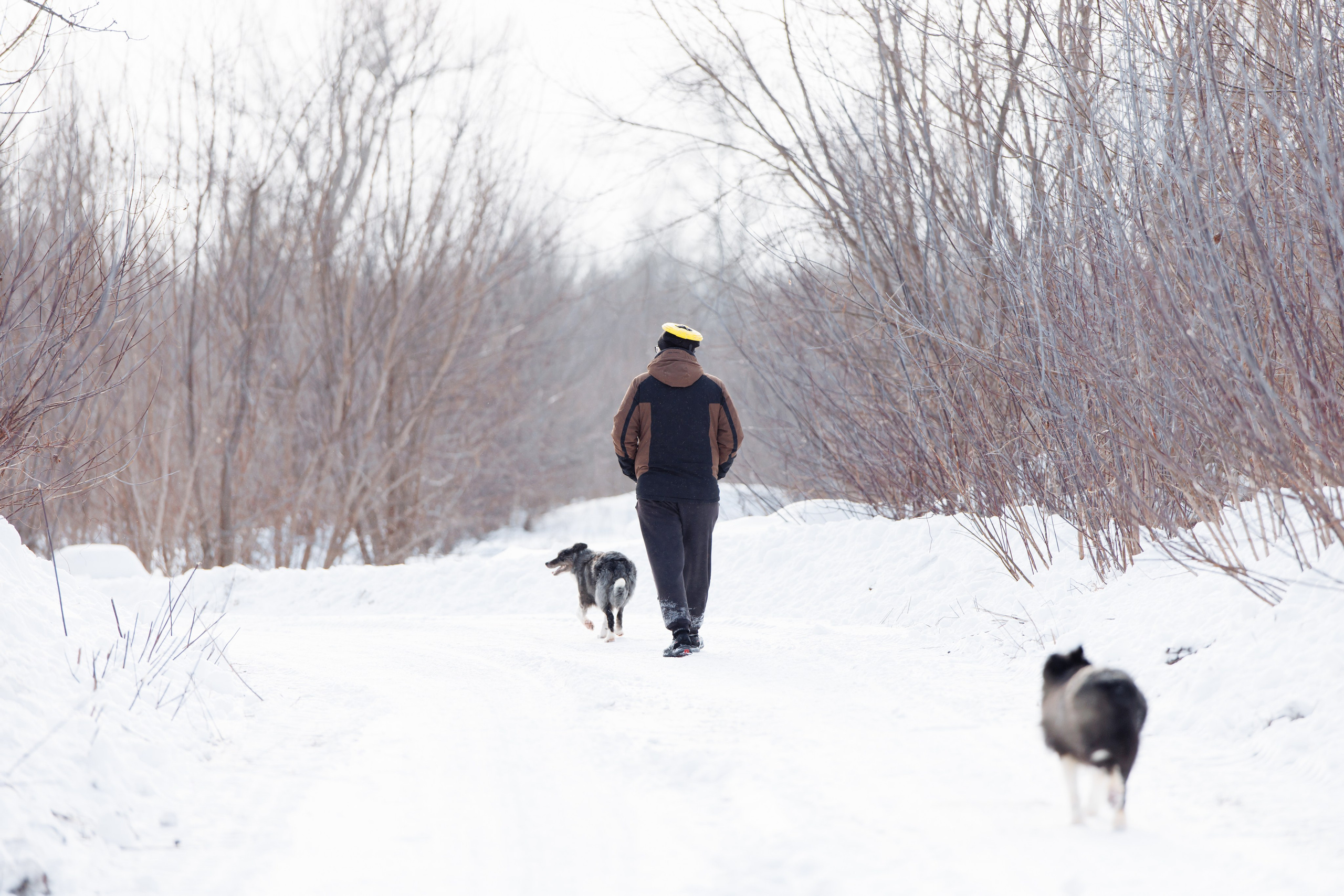 Яркий январь. О нас