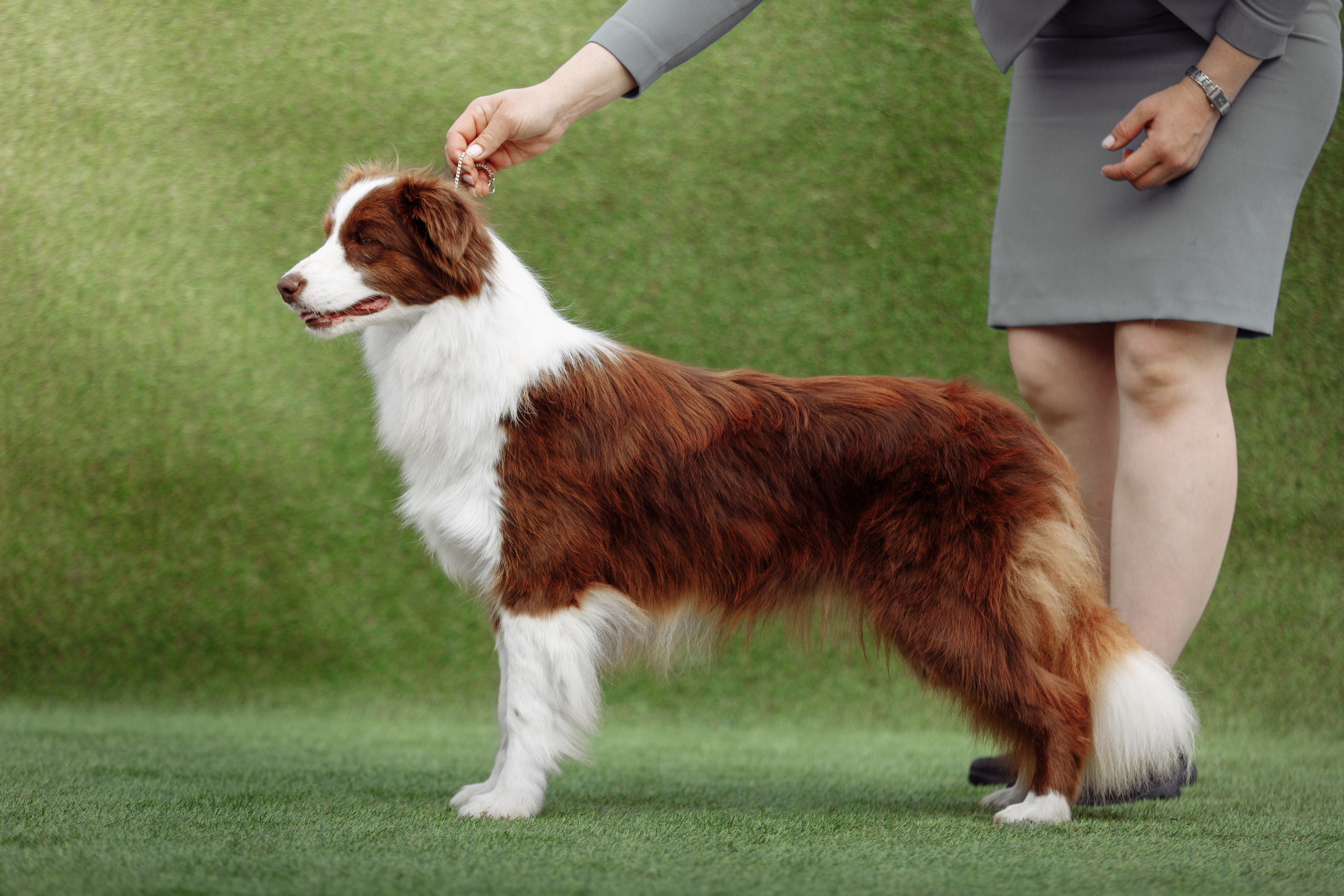 Свое место. О нас