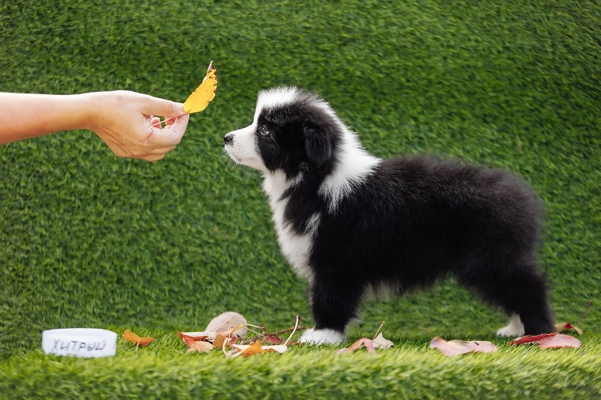 Новый лист. О нас