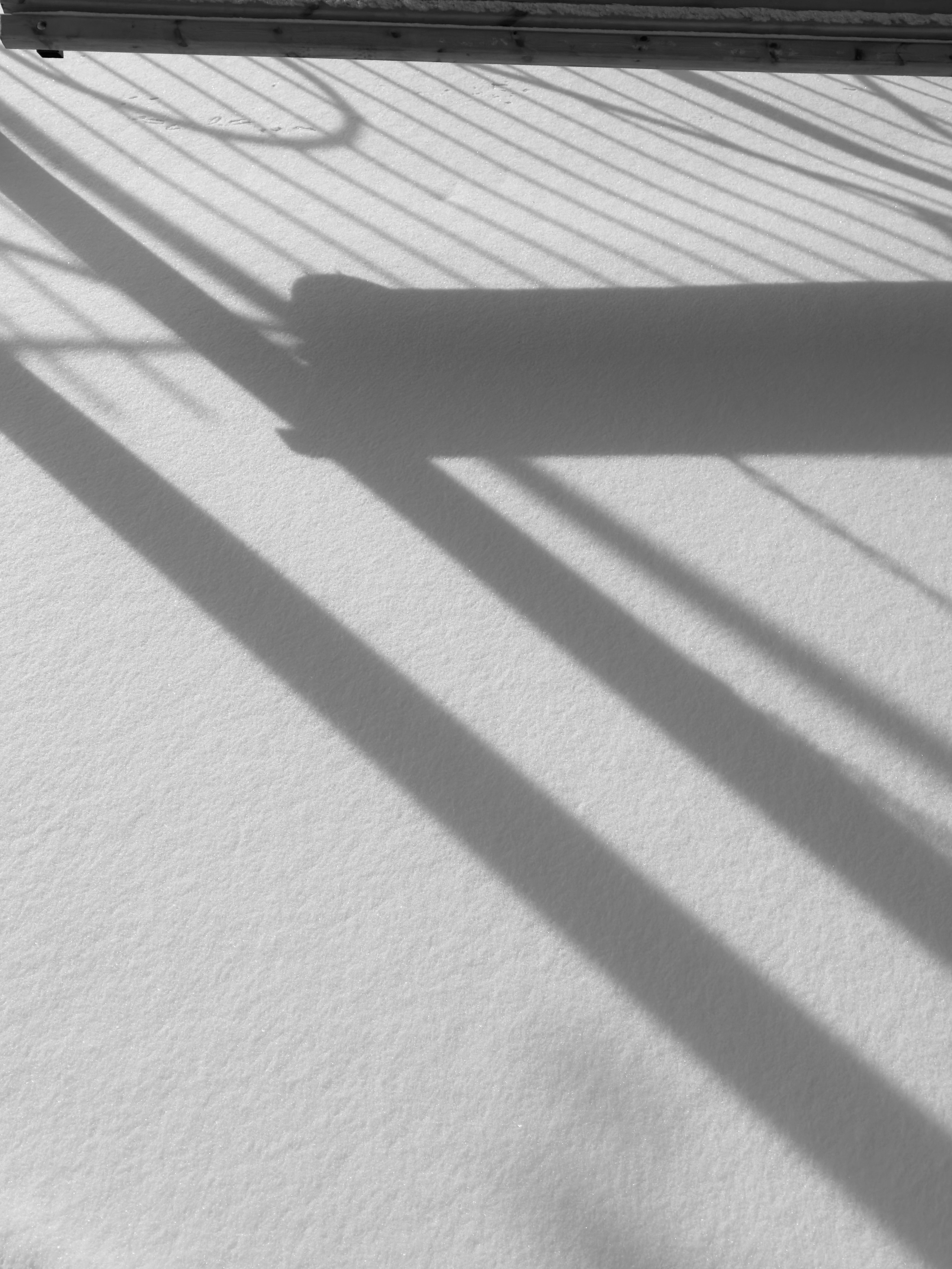 Визуальный дневник. Репортажный фотограф в Алматы Цой Сергей