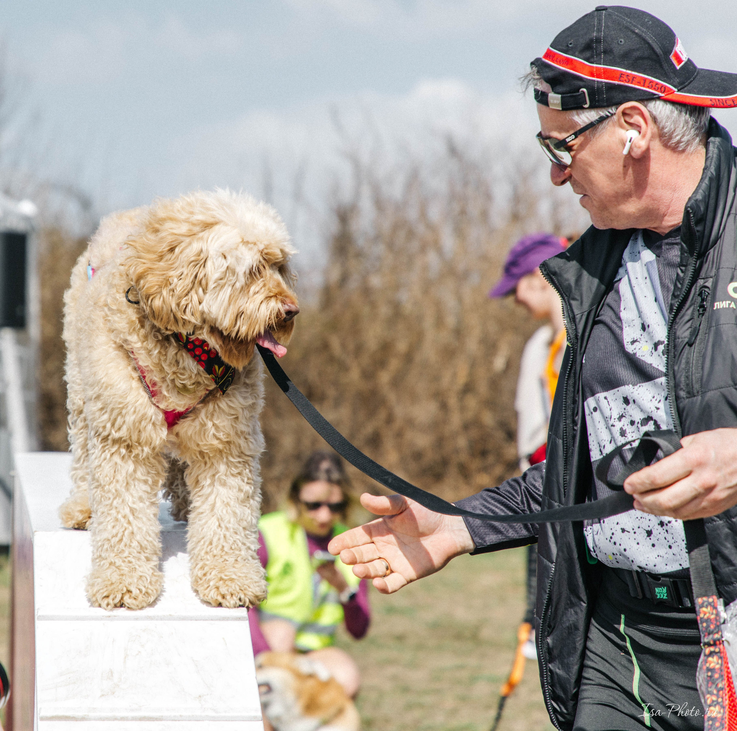Кросс «Быстрый пёс» 2025. Репортажный фотограф в Москве