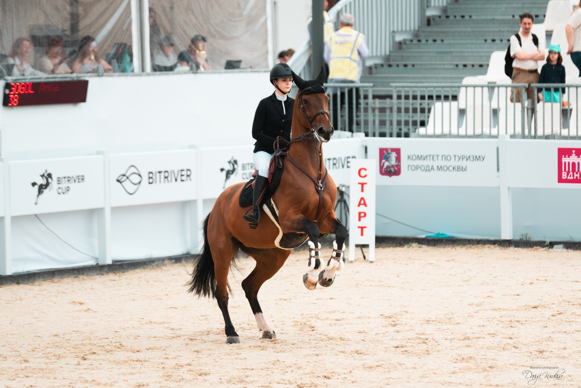 BITRIVER CUP 2023. Конный фотограф Куракина Дарья • Фотосессии с лошадьми