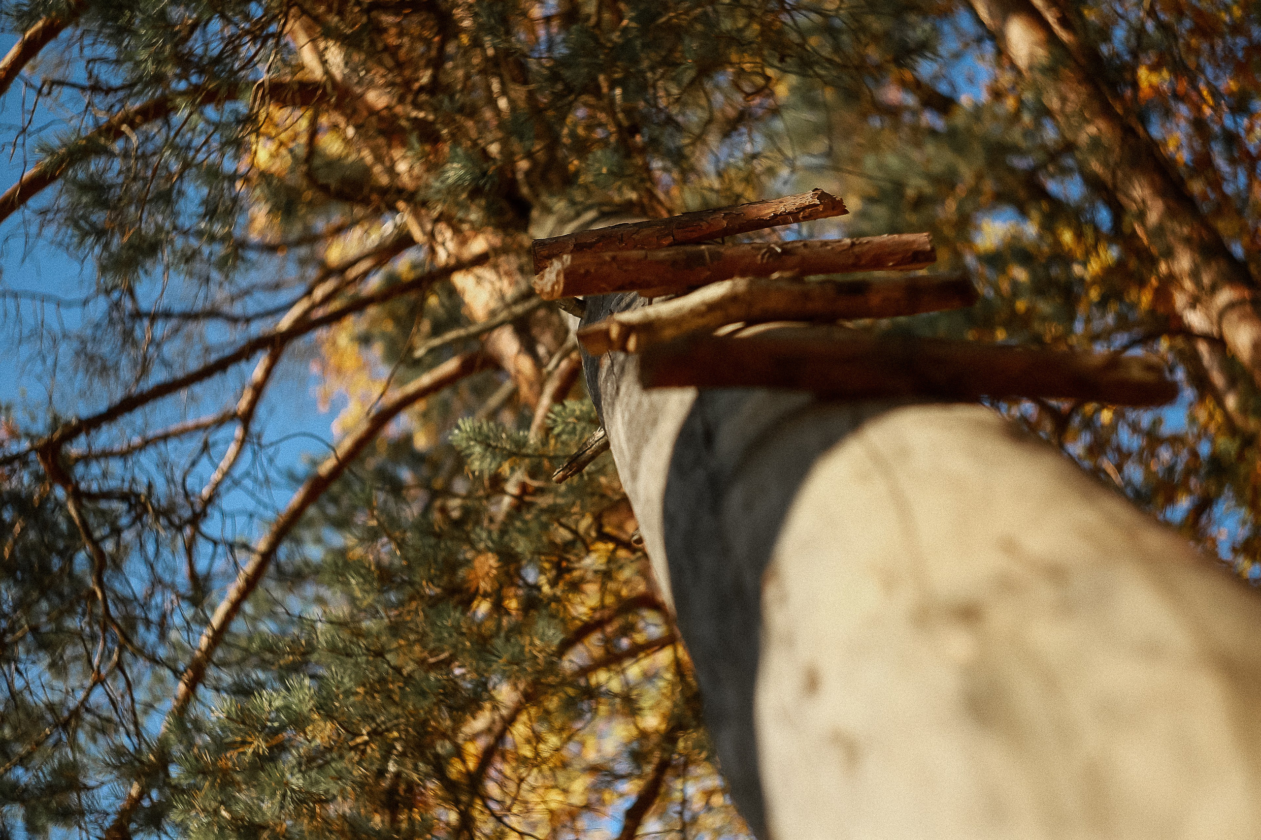 Магия обыкновенного. Фотограф-документалист и фототерапевт Настя Китаева. Город Москва