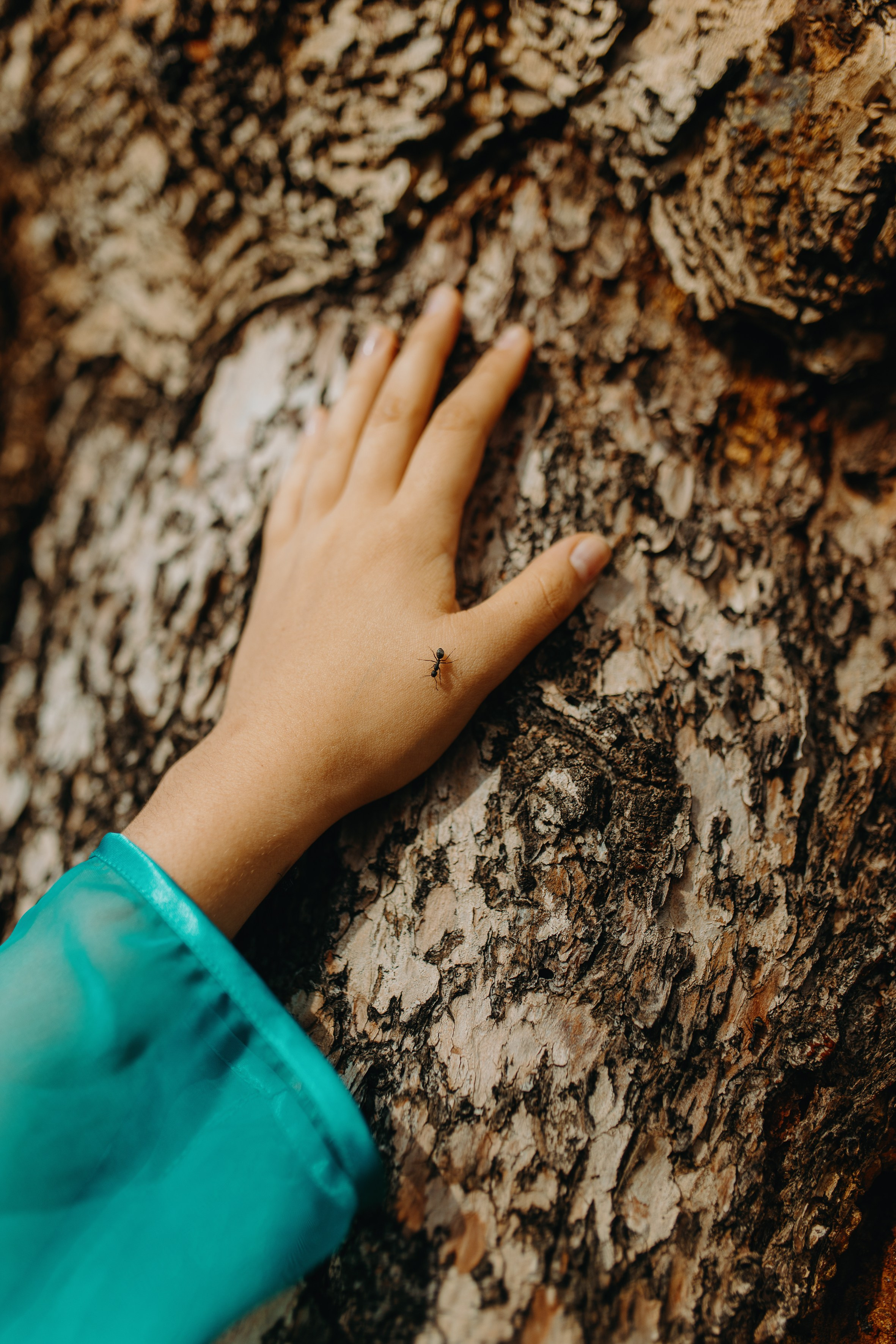 Девочка-стихия. Фотограф Ольхон/ Индия, Регина