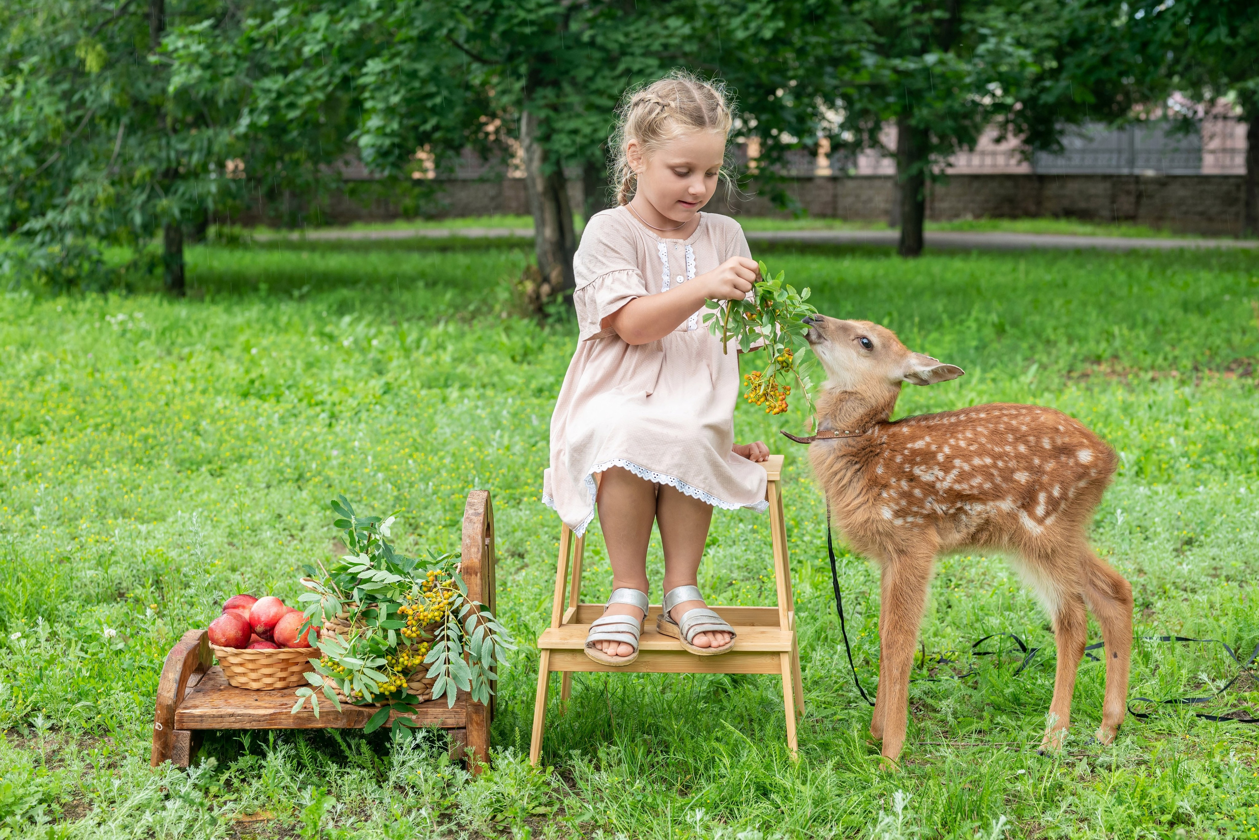 Фотопроект *Оленёнок Бэмби*. Фотограф в городе Салават