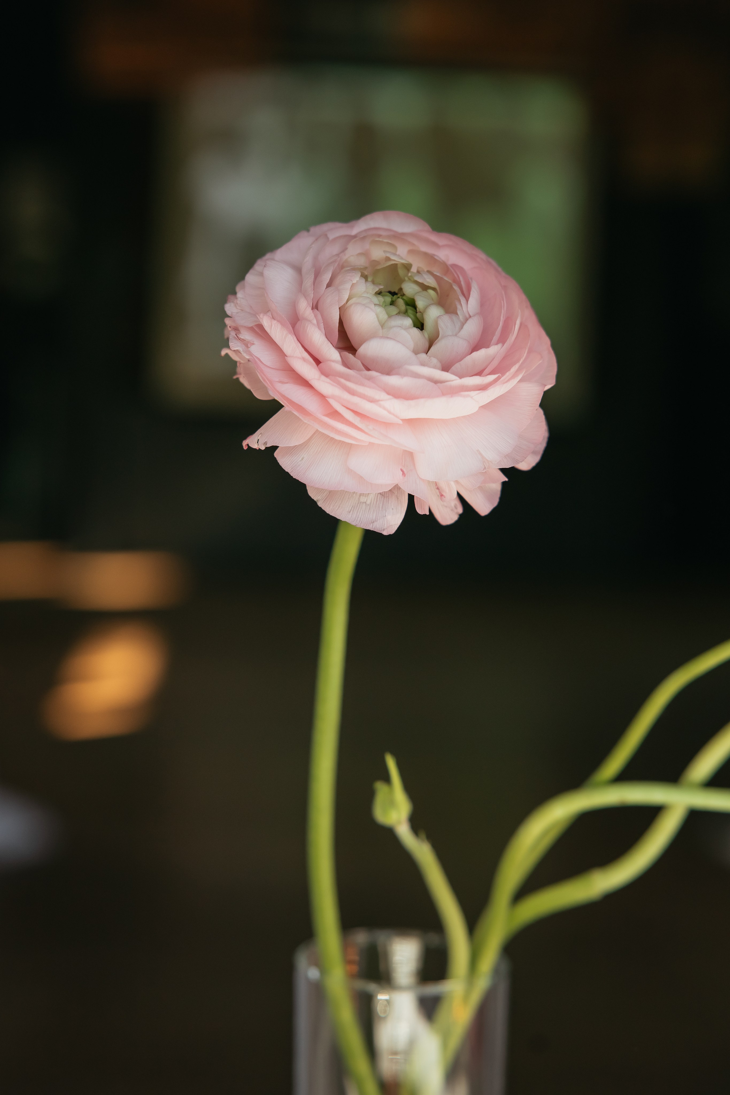 Дмитрий & Алина. Свадебный фотограф Краснодар и Москва. Анна Еремчук