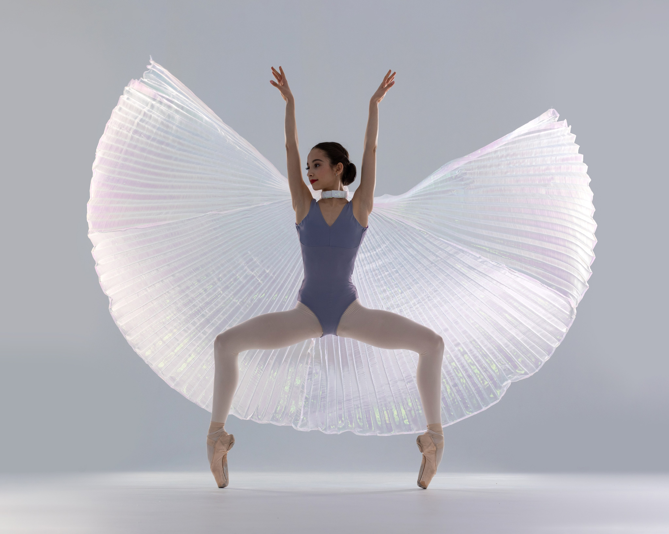 Крылья перламутровые напрокат бесплатно. Балетный фотограф Алина Ханько — Душа Балета