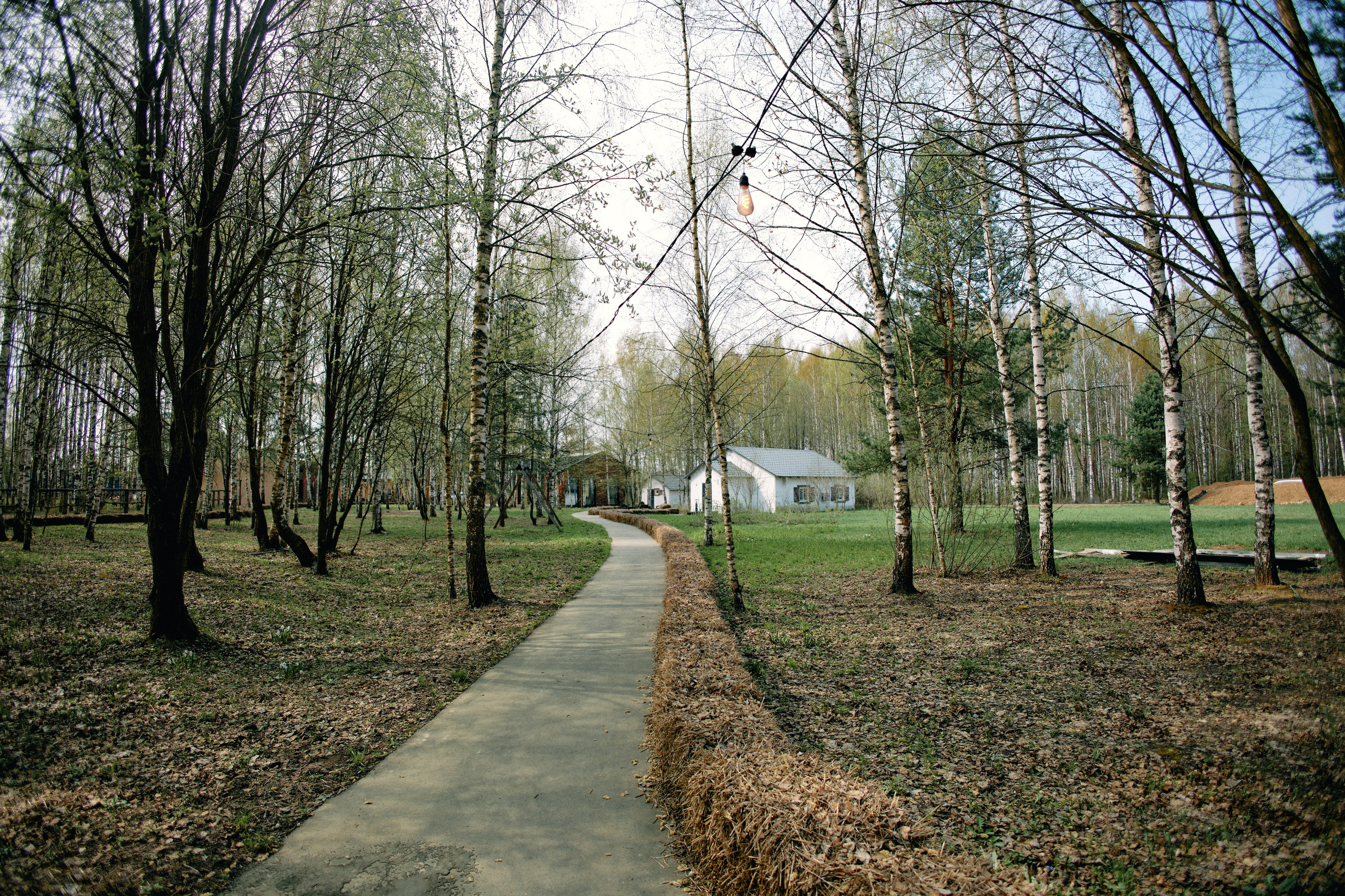 Бутик-отель Поле летом. Профессиональный Фотограф во Владимире, в Москве и в Суздале — Полина Романычева