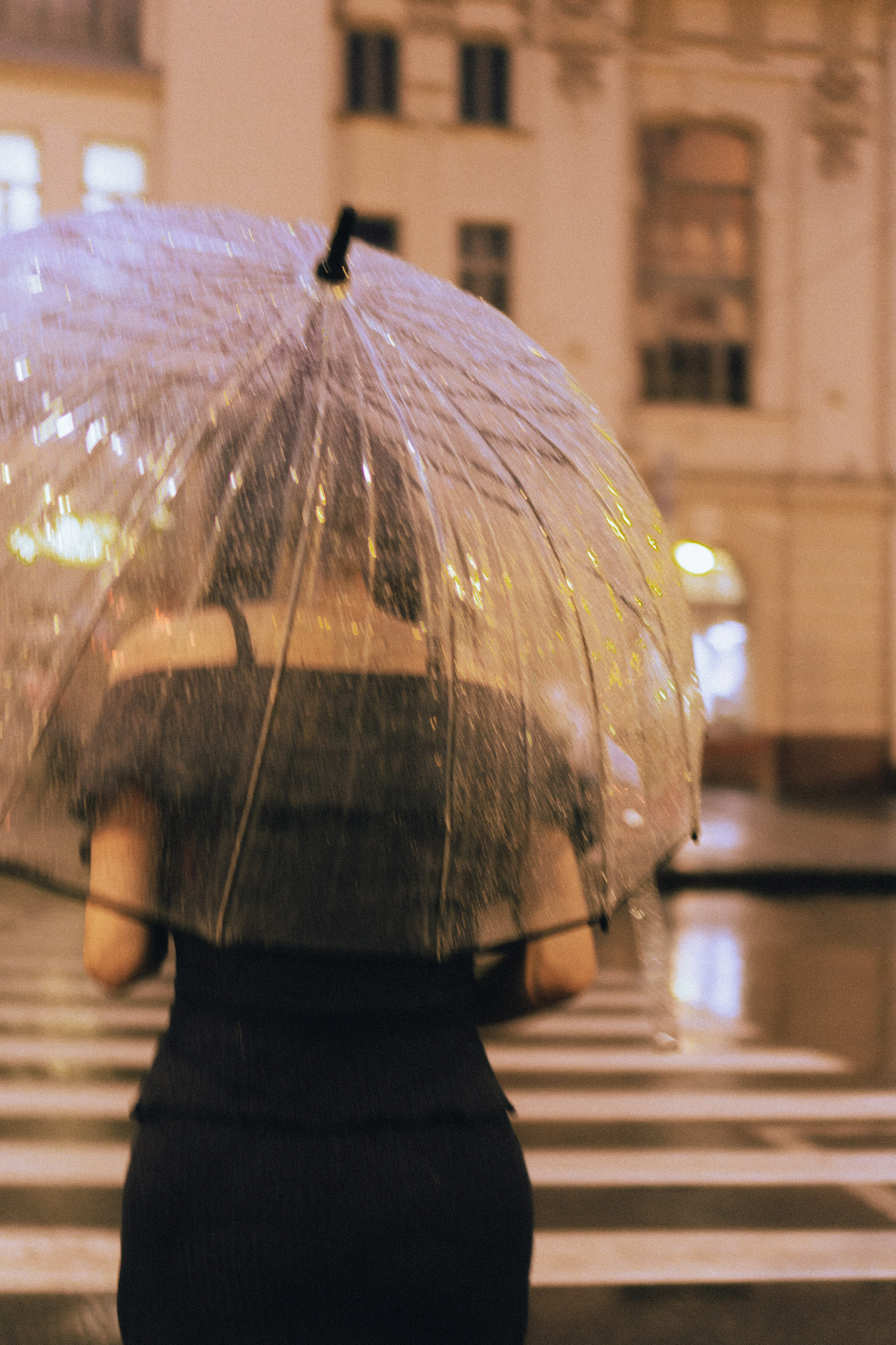 НА ПАМЯТЬ О ПИТЕРЕ. Профессиональный фотограф, Санкт-Петербург — Виктория Богомолова