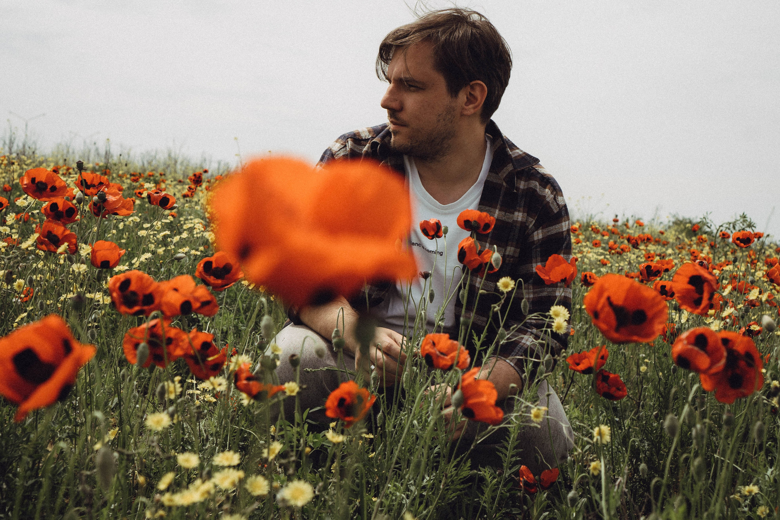 Маки. Профессиональный фотограф, Санкт-Петербург — Виктория Богомолова