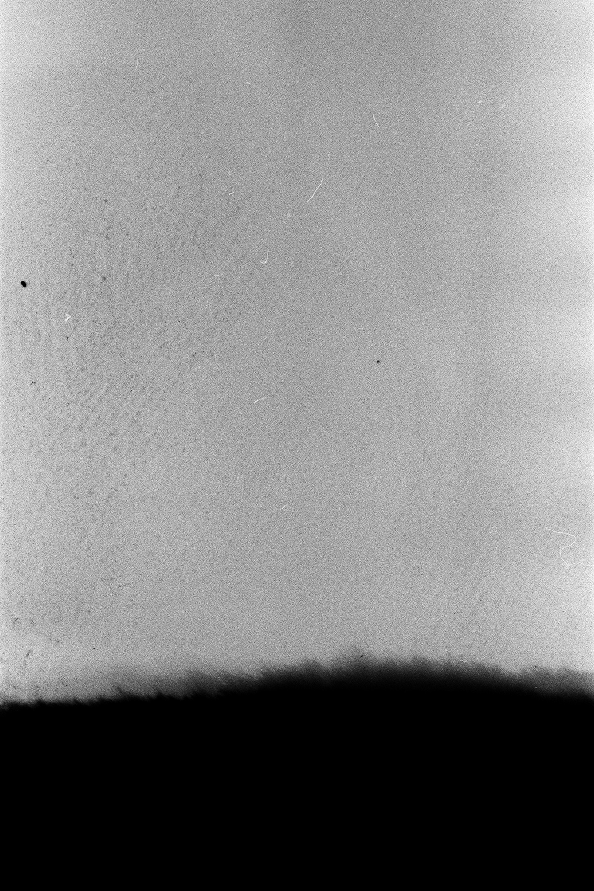 FIRST|LAST. Контент-креатор Паша Норицын