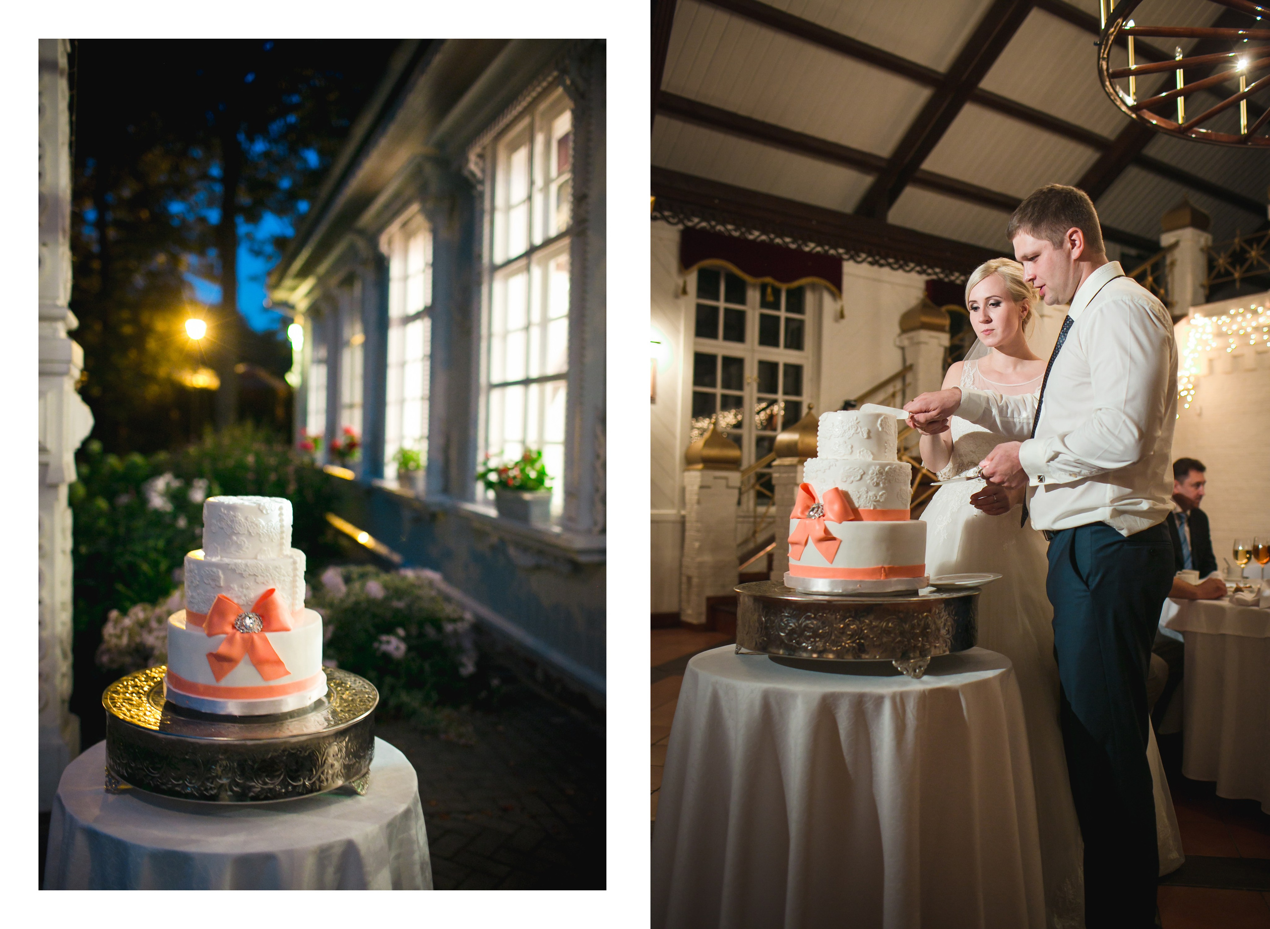 Елена и Дмитрий