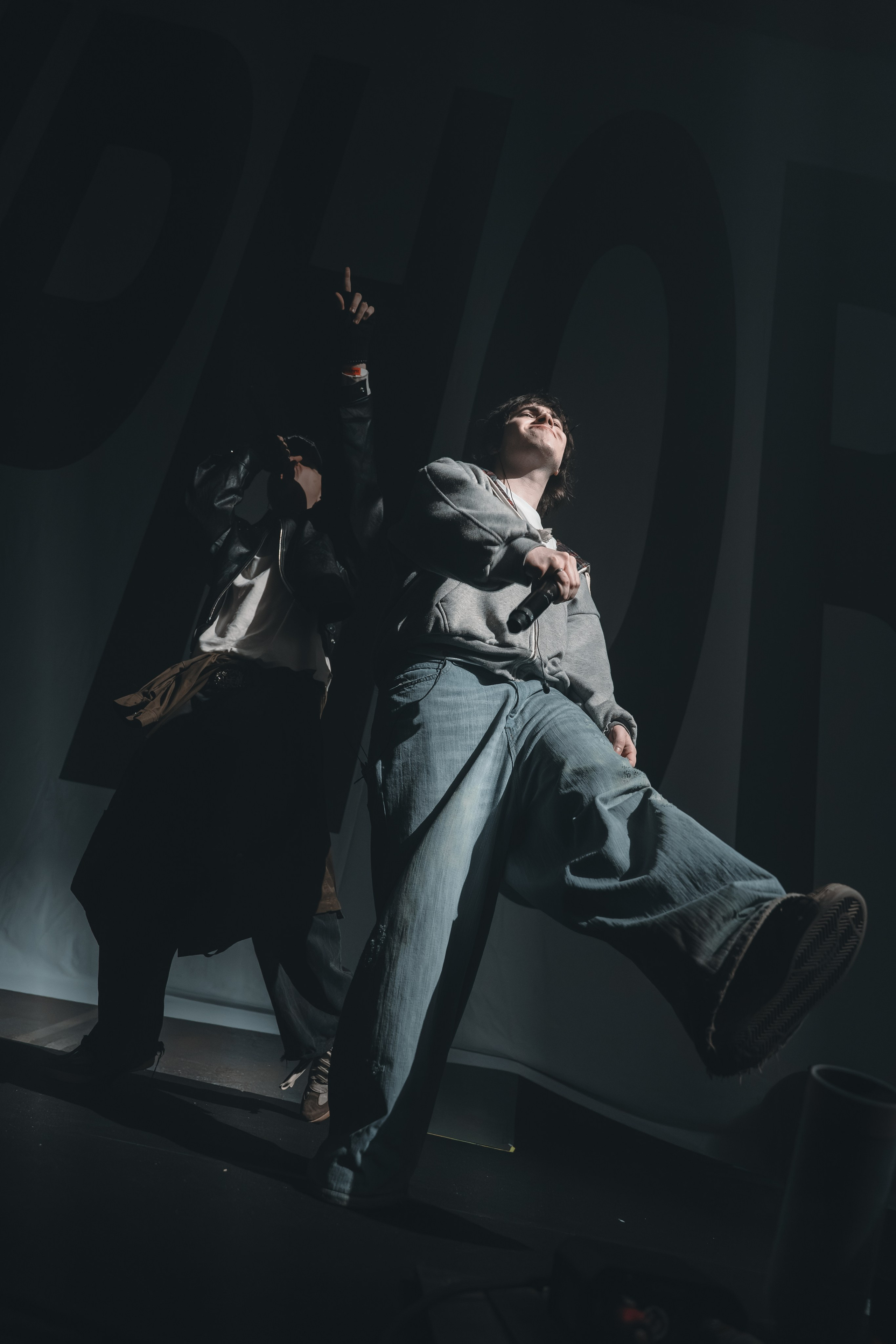 SALUKI. Фотограф Санкт-Петербурга