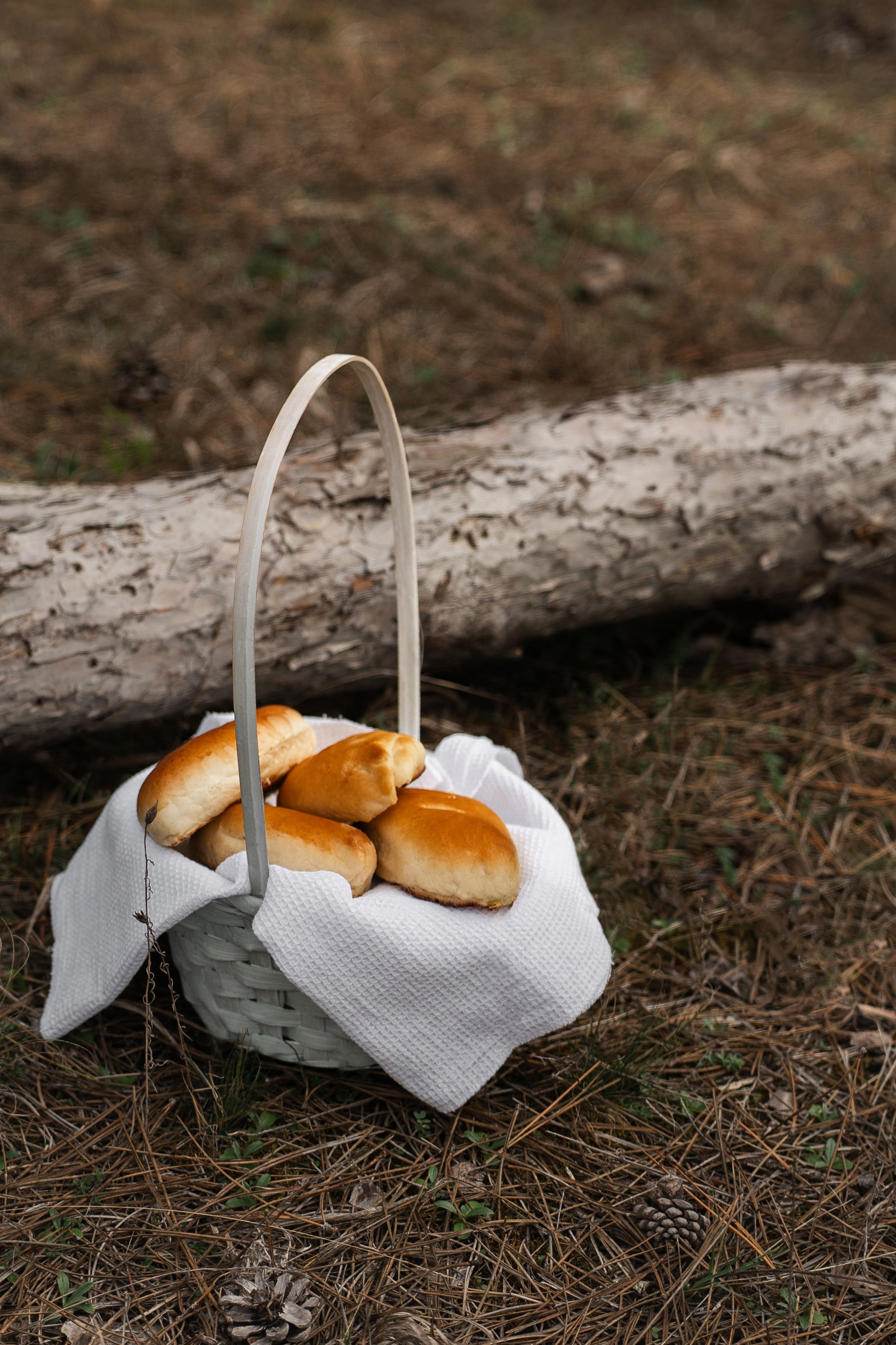 Ева «Красная Шапочка». Фотограф Севастополь — Климова Анастасия