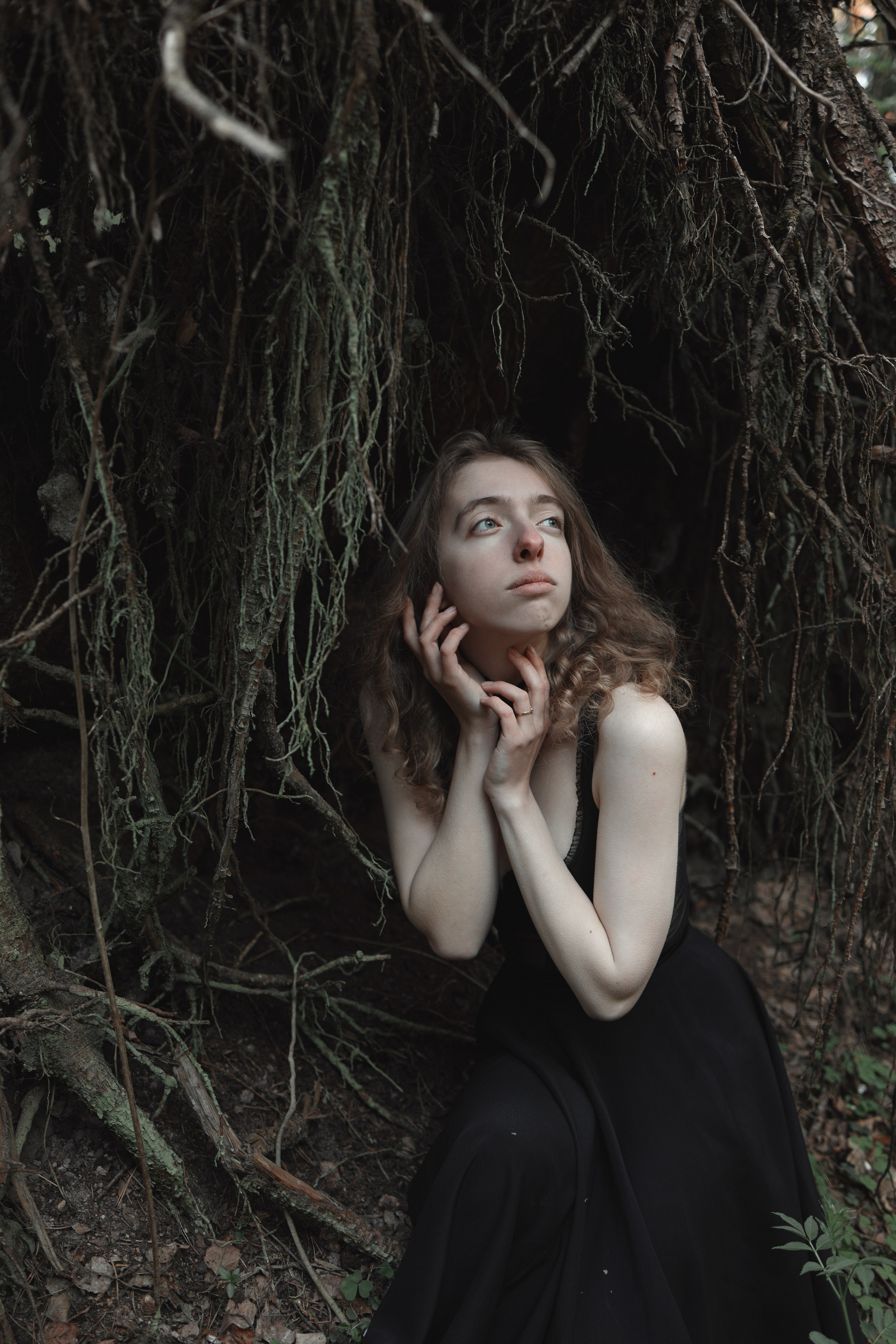 Schutzwald. Арт-фотограф. Coffelisk