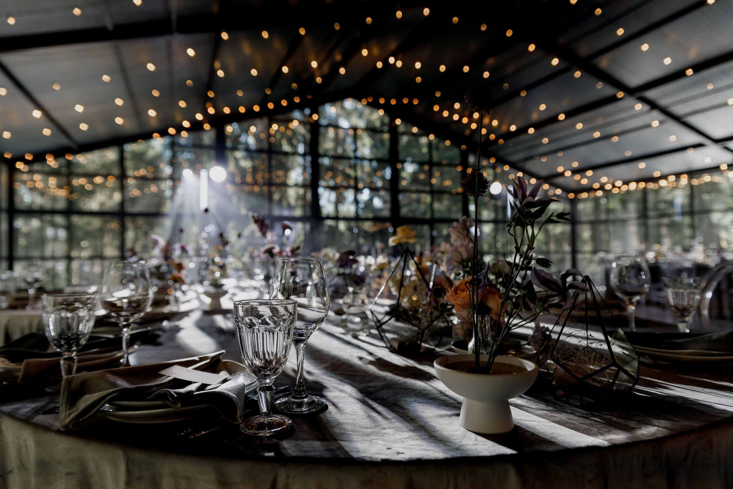 Настя & Вадим. Герасимов Дмитрий