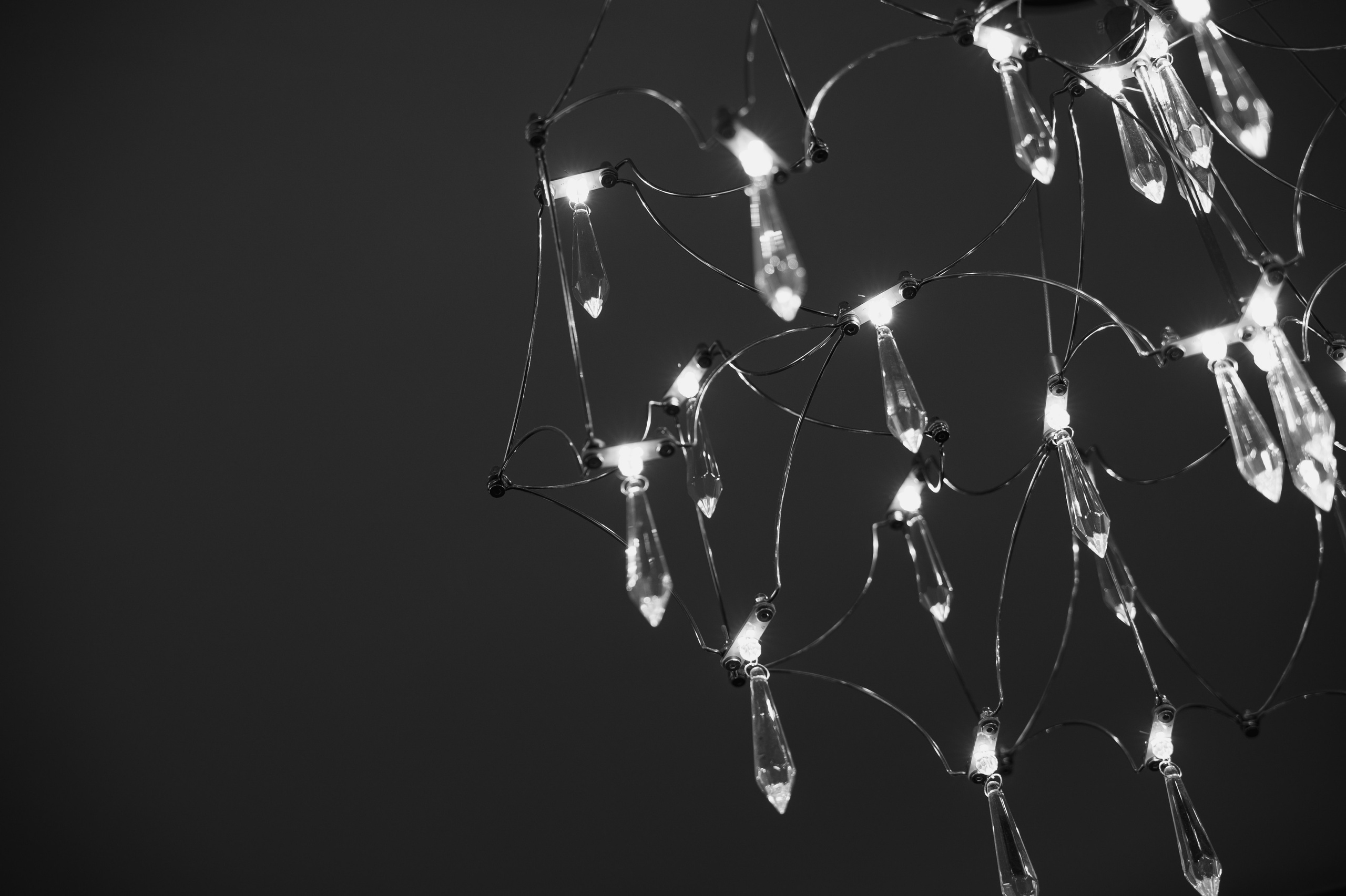 Открытие Мэри Трюфель. Свадебный фотограф в Новосибирске Алена Цизман