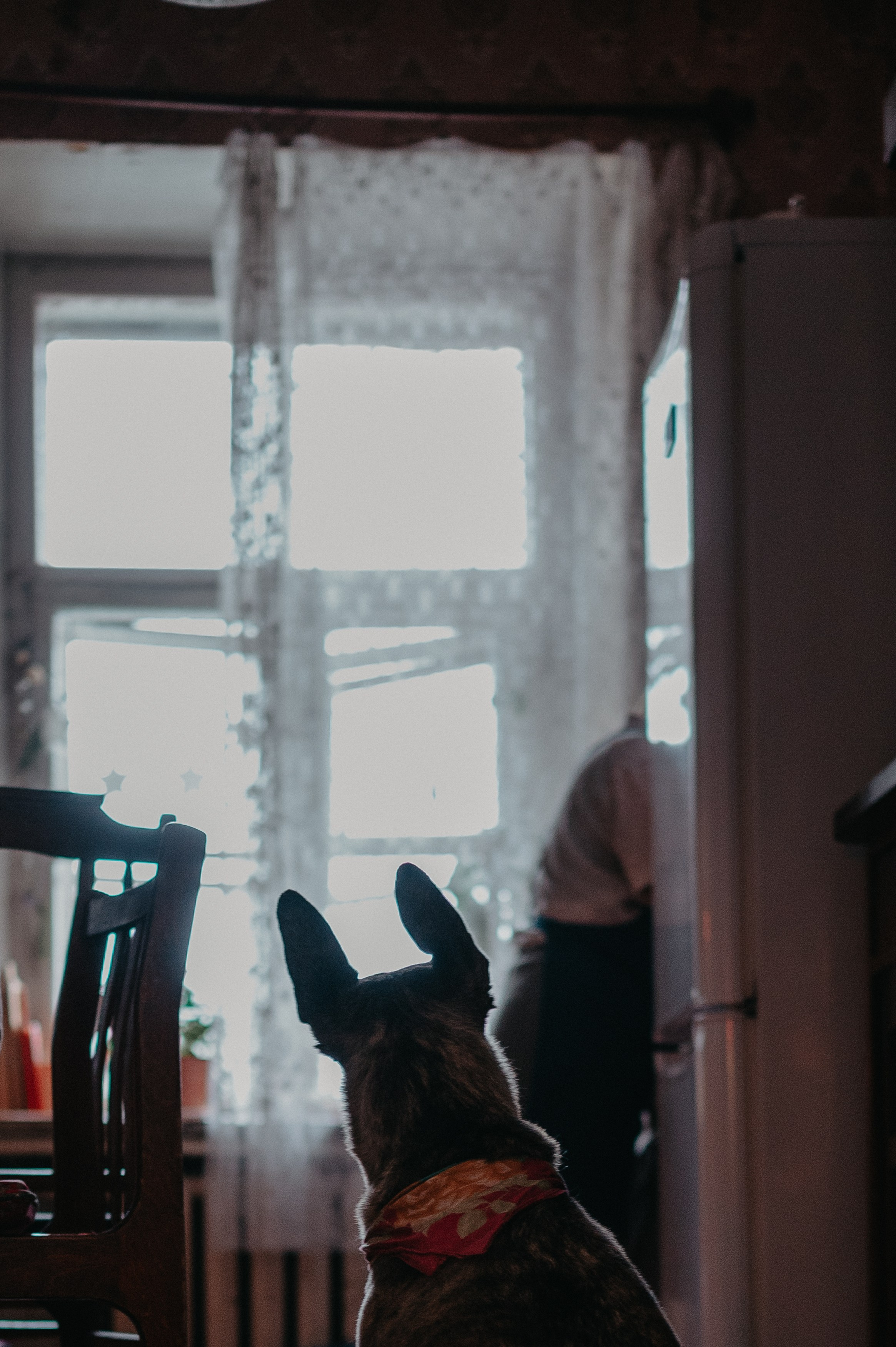 Контент фотограф Илья Урс