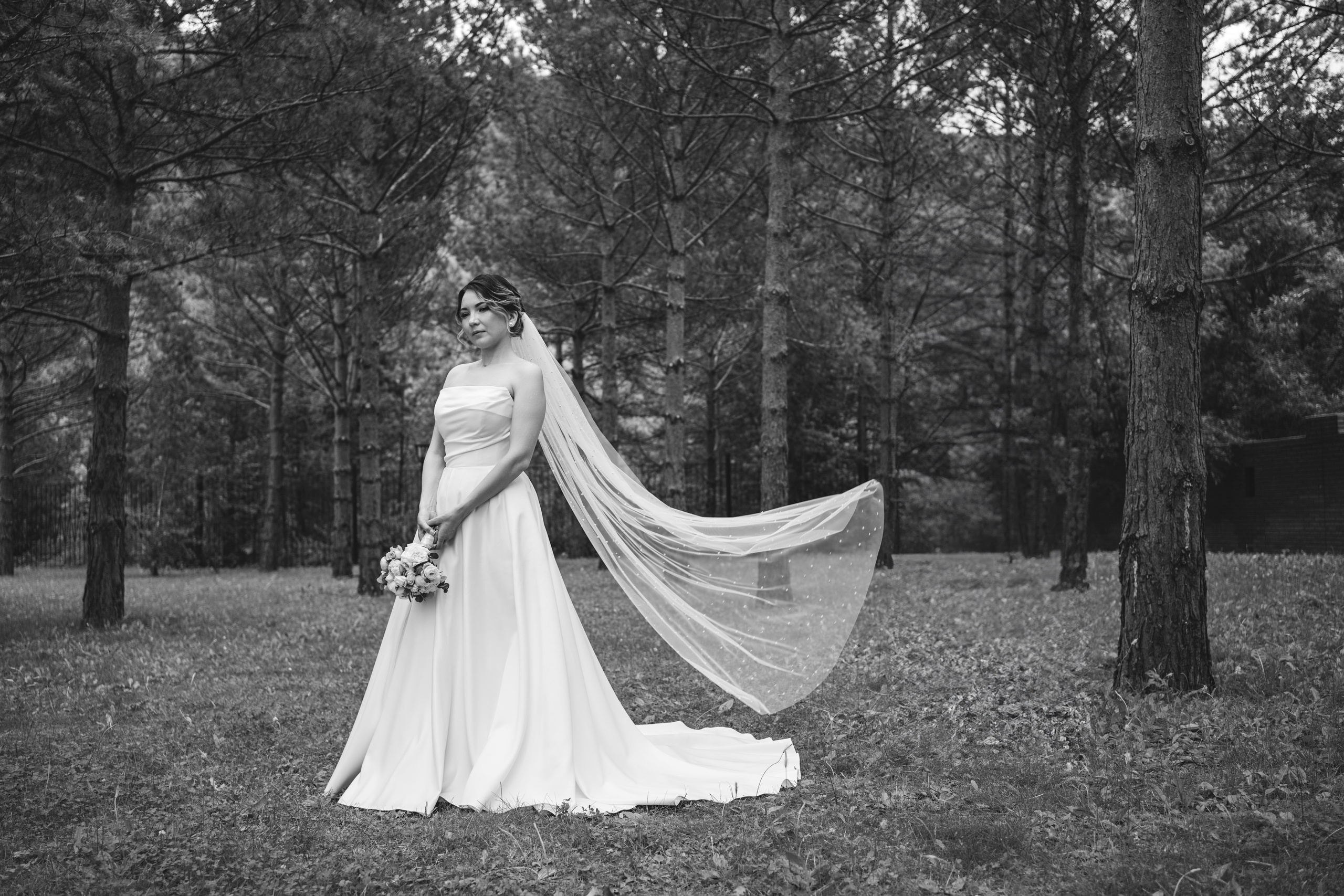 Евгений и Виктория. Фотограф и видеограф Олег Игнатов | Свадьбы, Love Story, реклама и корпоративы — Красноярск