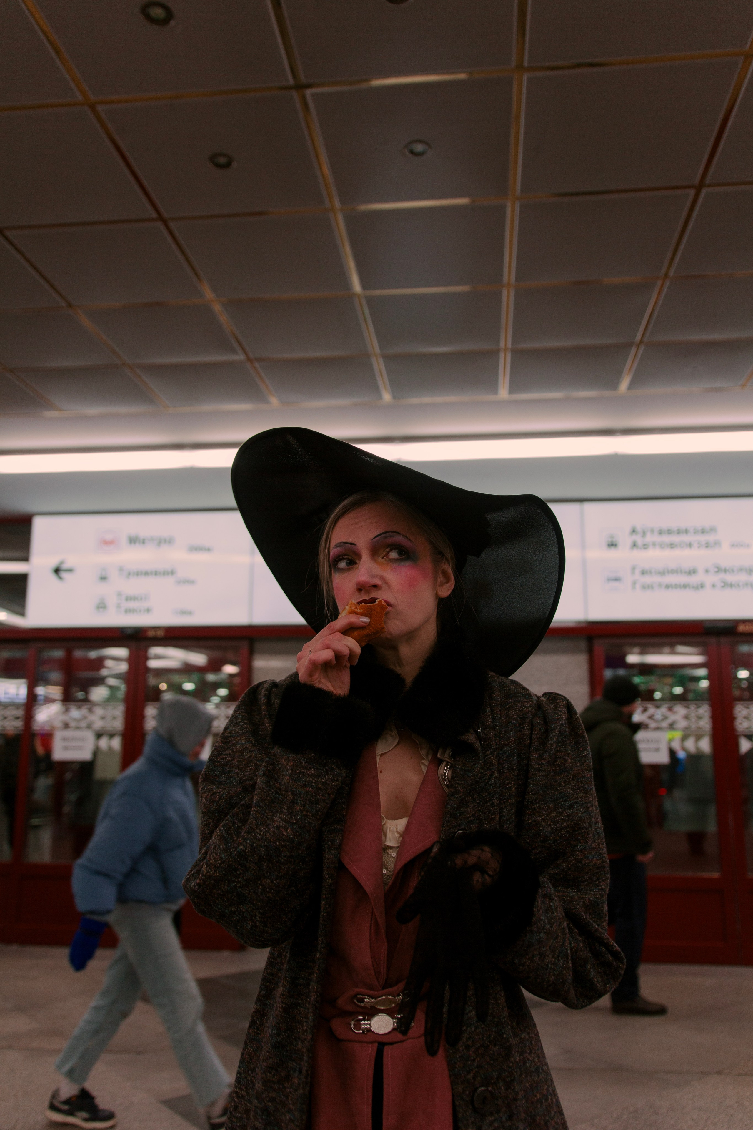 Каренина современного разлива