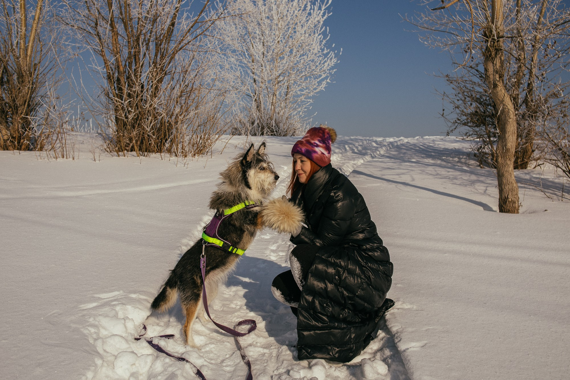 Оля и Молли. Фотограф в Новосибирске Евгений Маслов