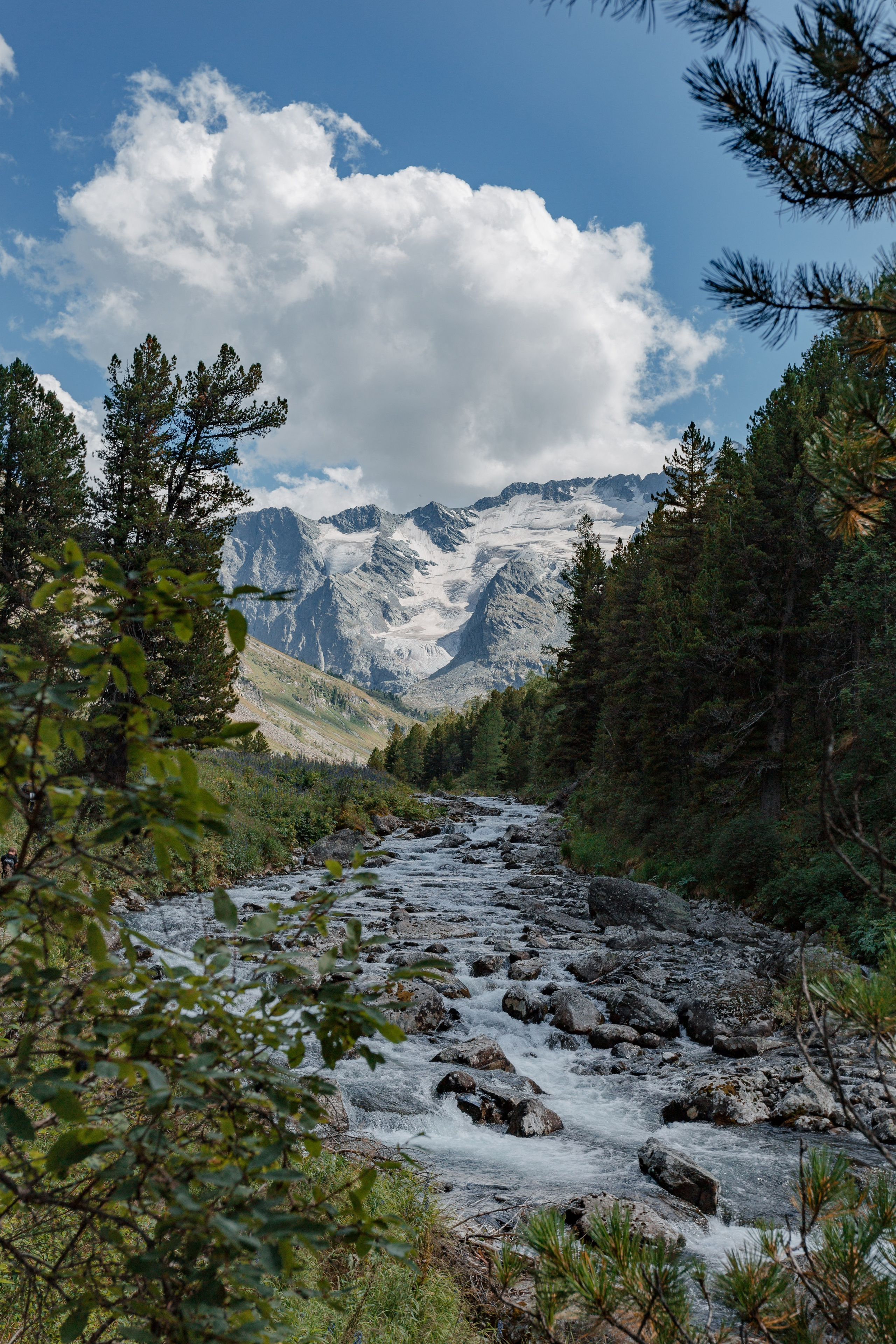 Катунский заповедник, Республика Алтай. Репортажный фотограф в Крыму Ксения Гасица