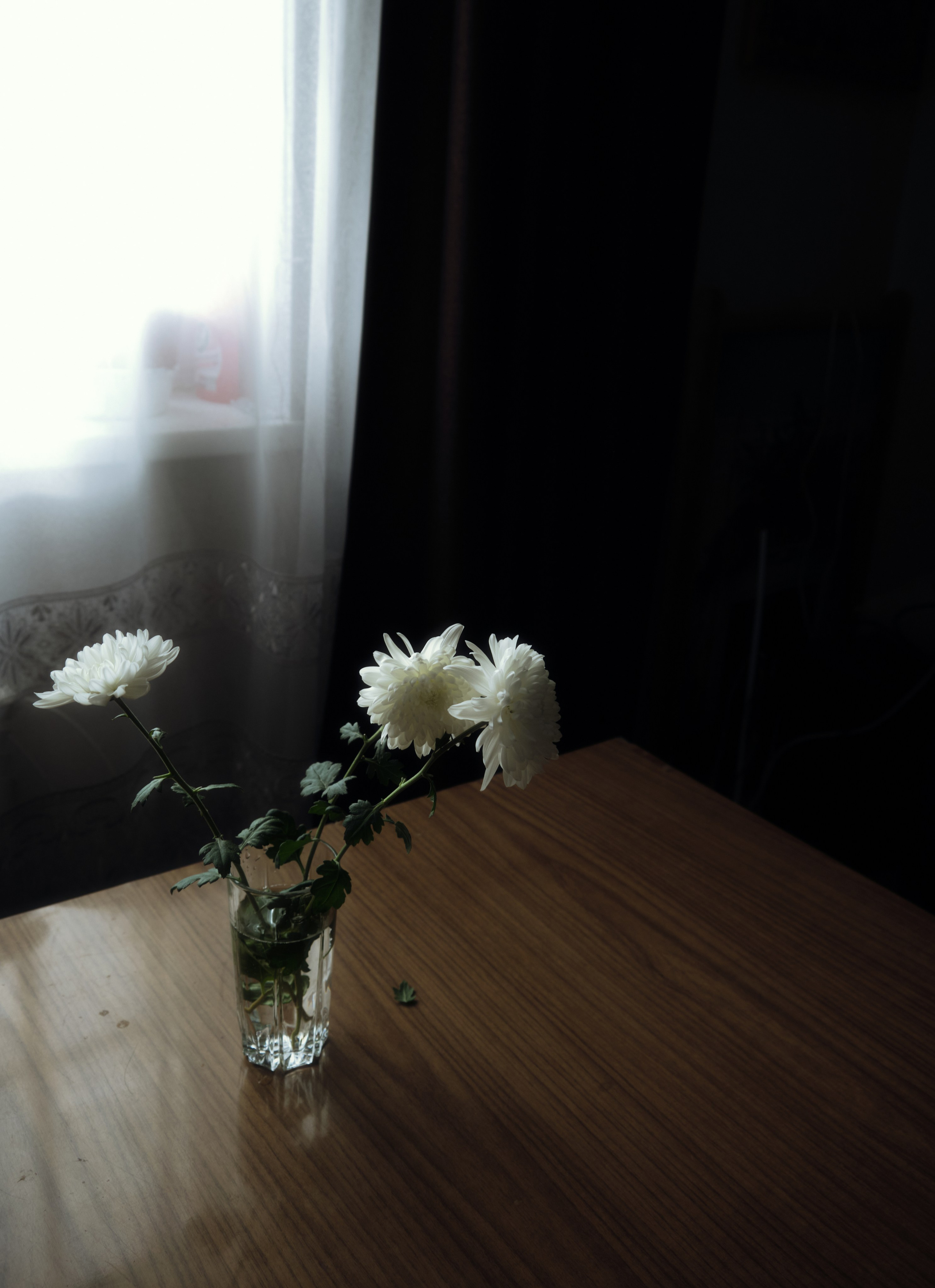 участие в выставке ночь в музее города в Екатеринбурге от вкусвилл