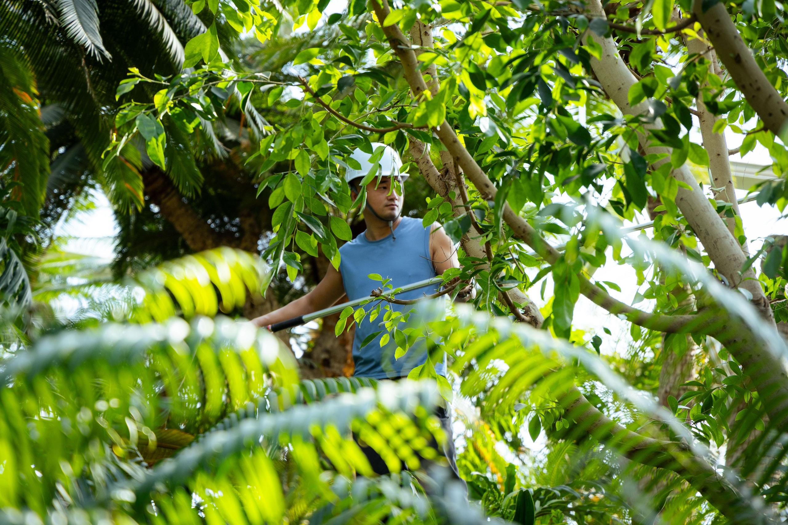 Шанхай (март 2026). Фотограф Виноградов Константин