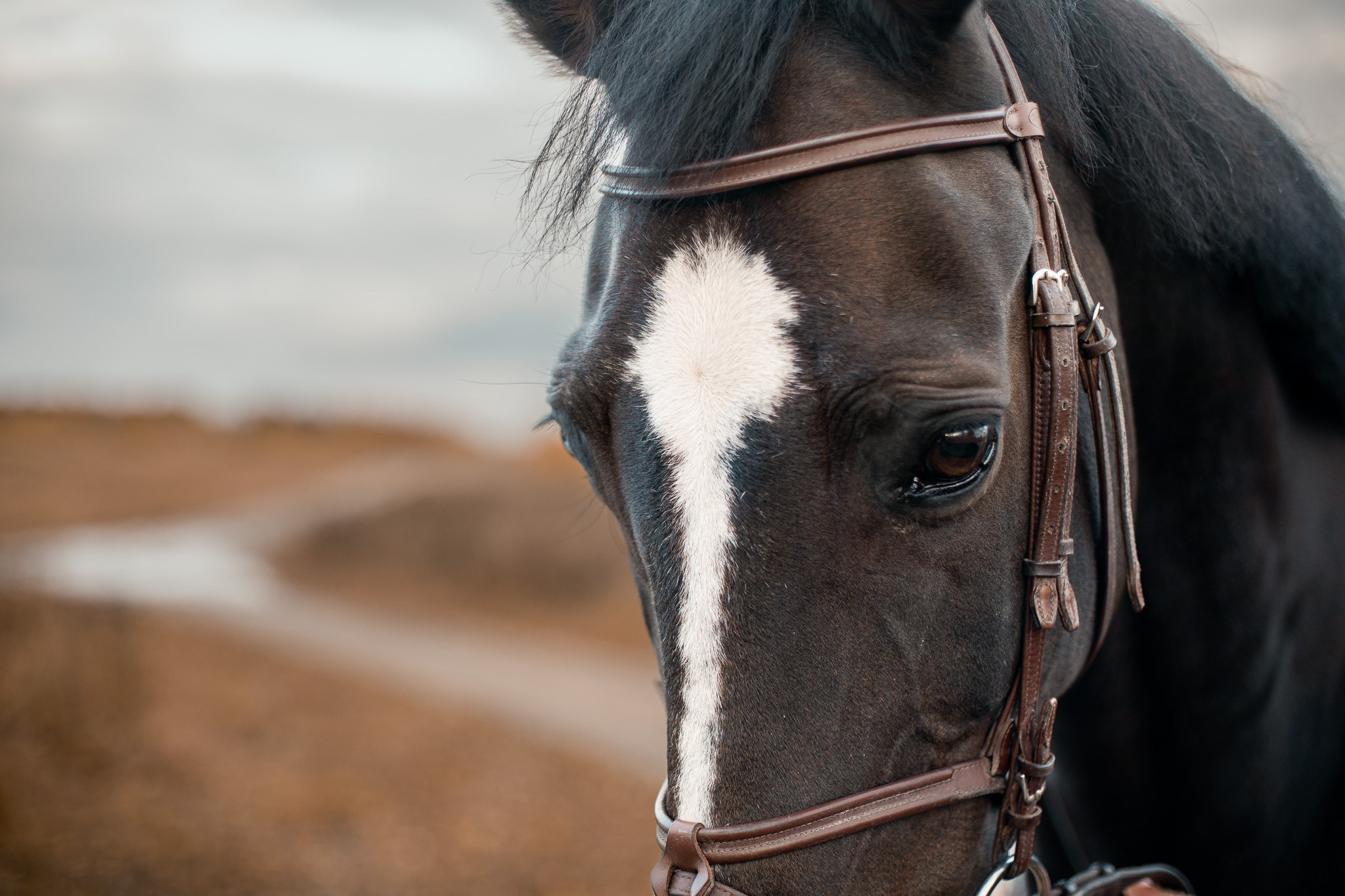 Прогулка с лошадью. Индивидуальный и семейный фотограф Ирина Москвичёва