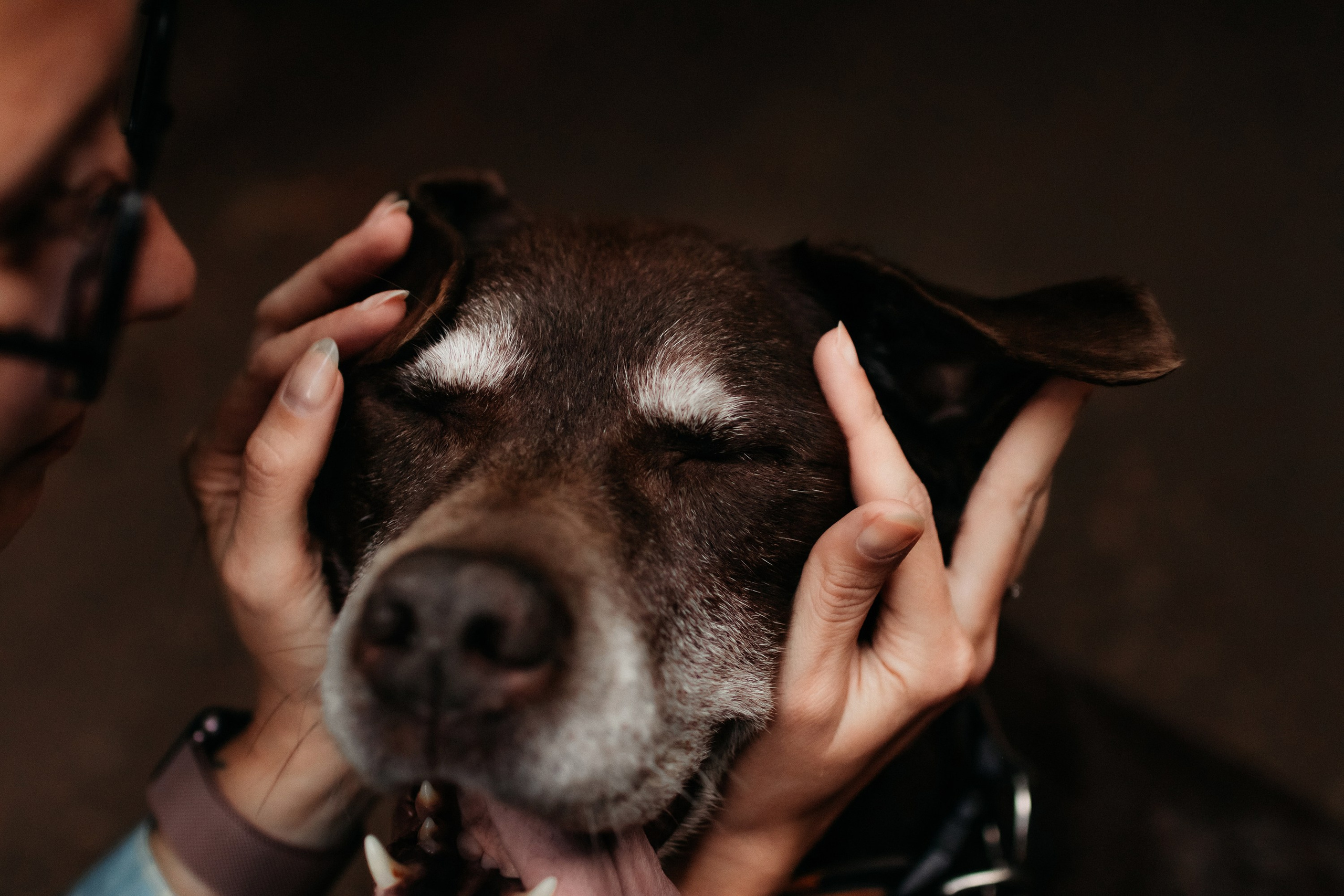 Юля и Свити. Фотограф Наталья Потапова