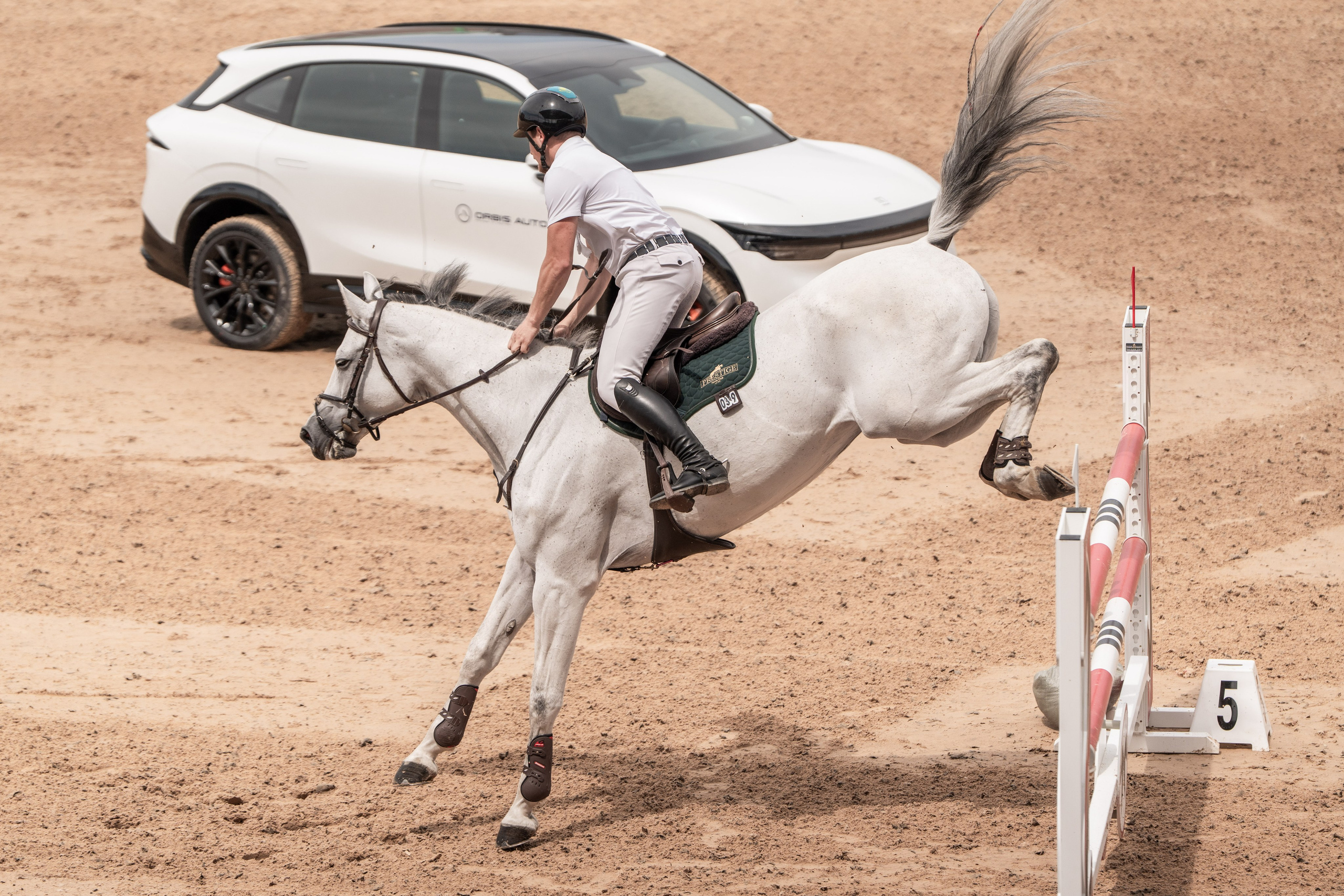 2026 FEI World Cup Astana. Janie valde |photographer & visual artist
