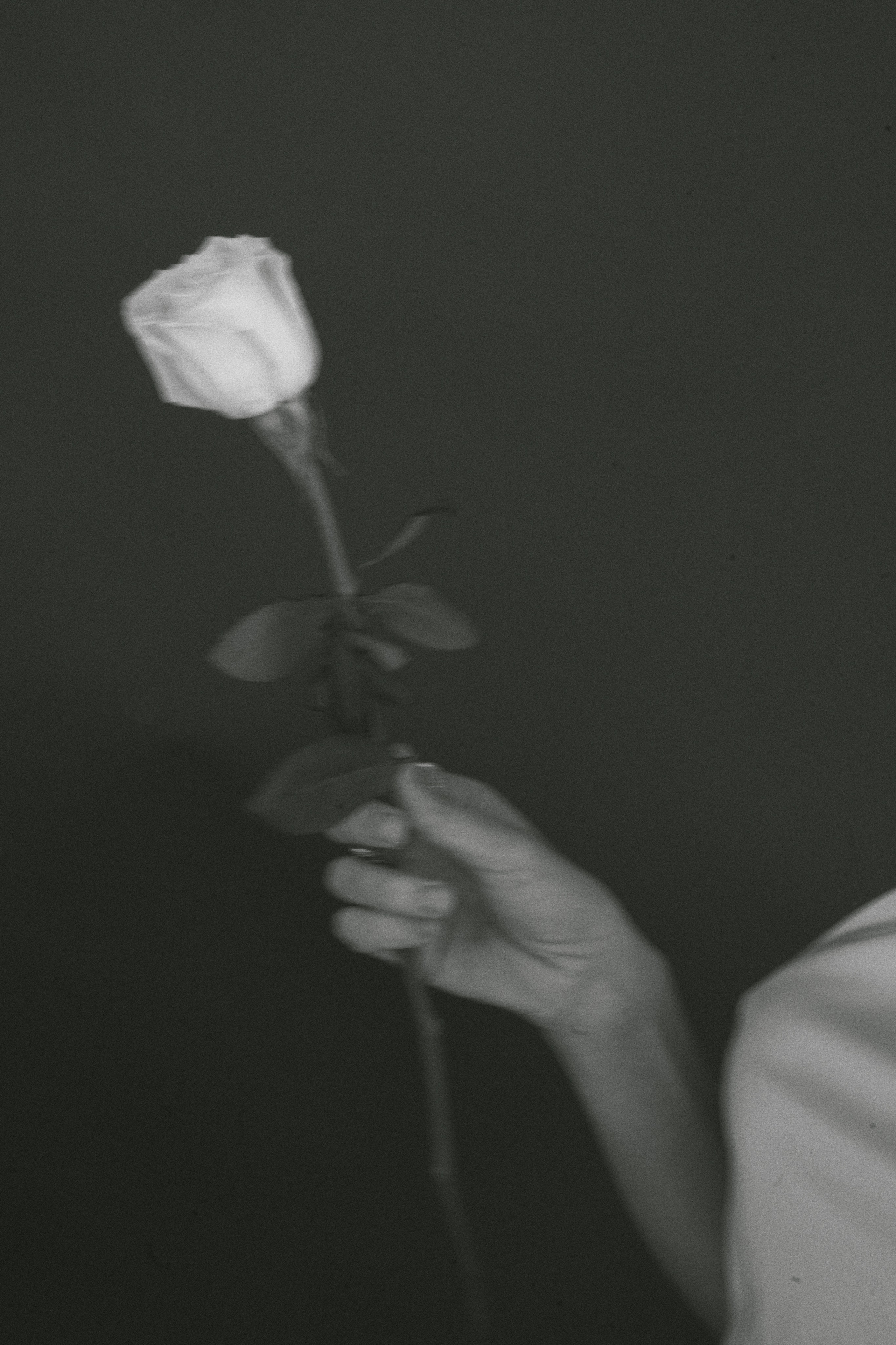 Руслана. Свадебный фотограф в Сургуте